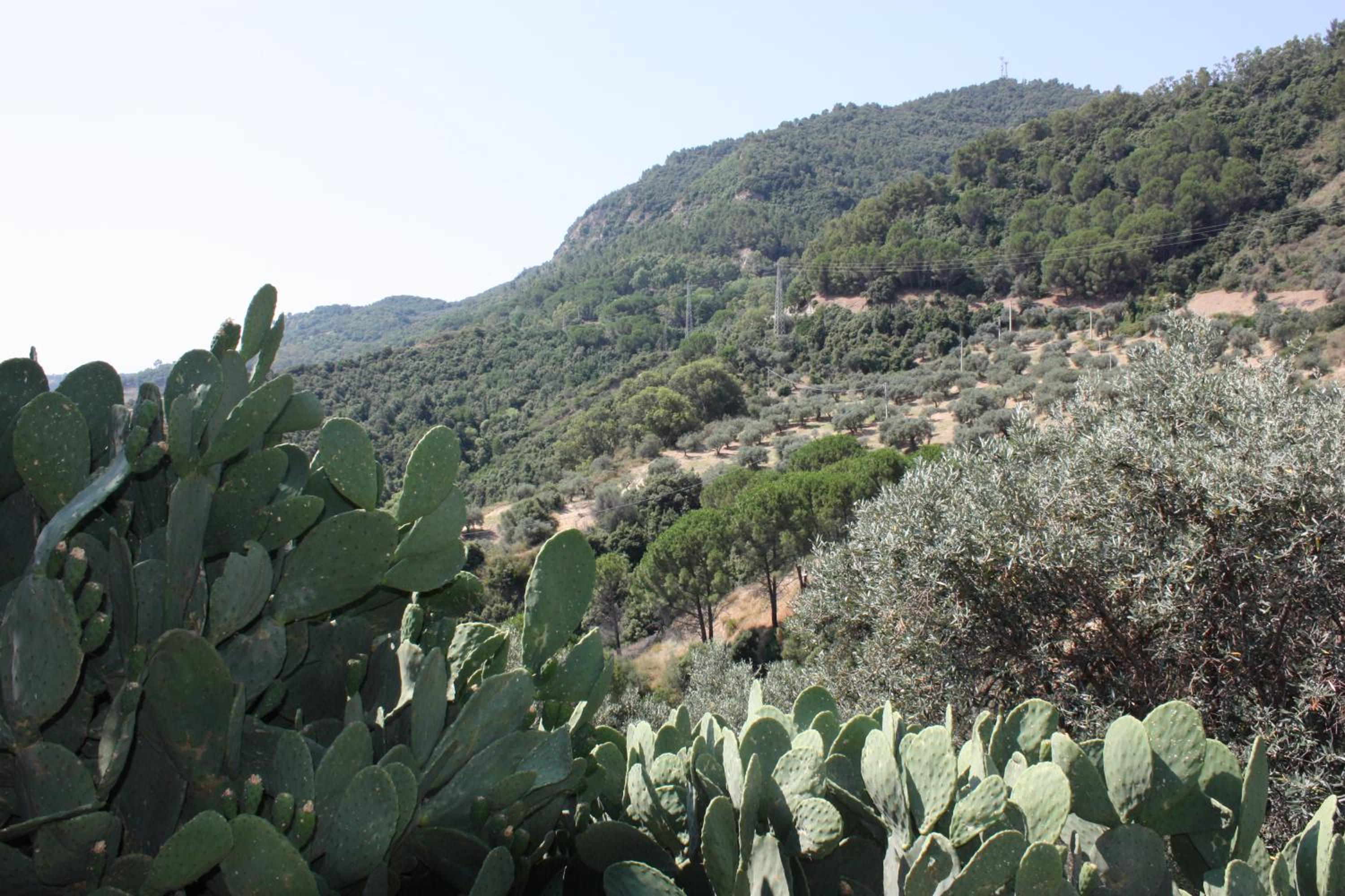 Azienda Agrituristica Le Puzelle