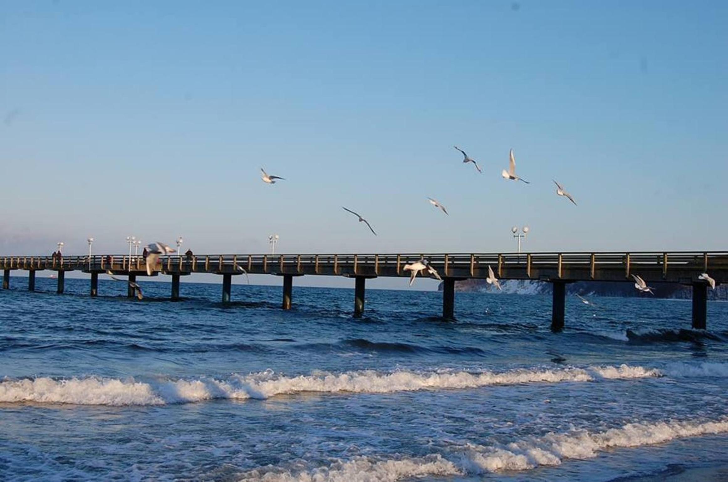 Rosenhof in Binz