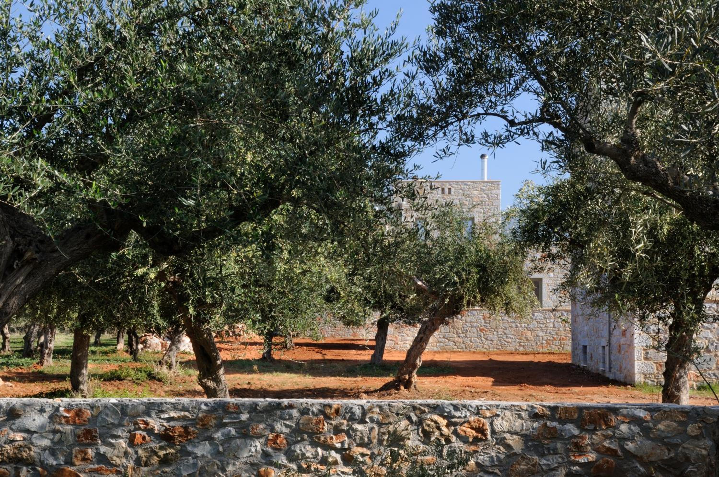 Nikoloudi Estate