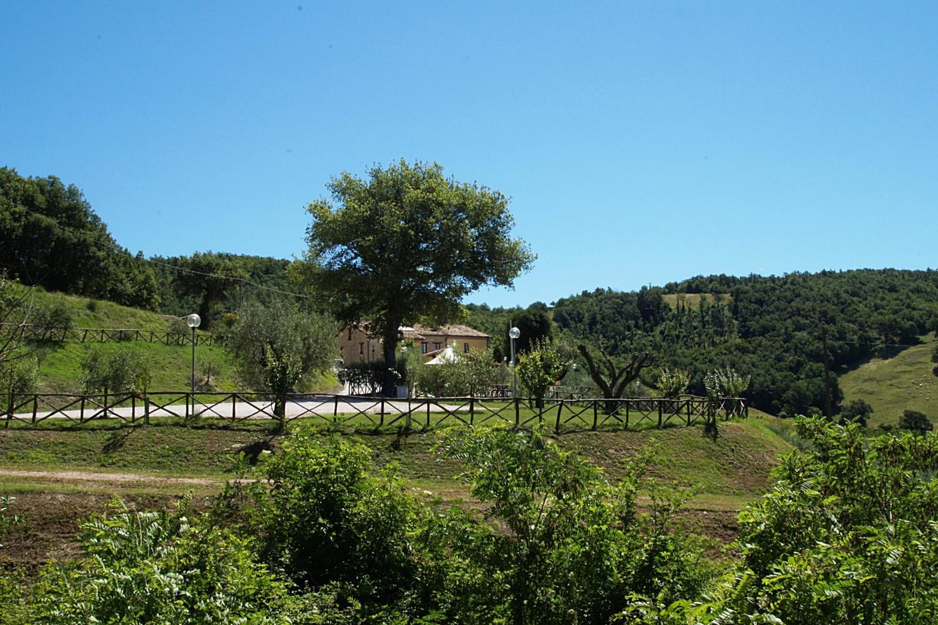 Photo 47