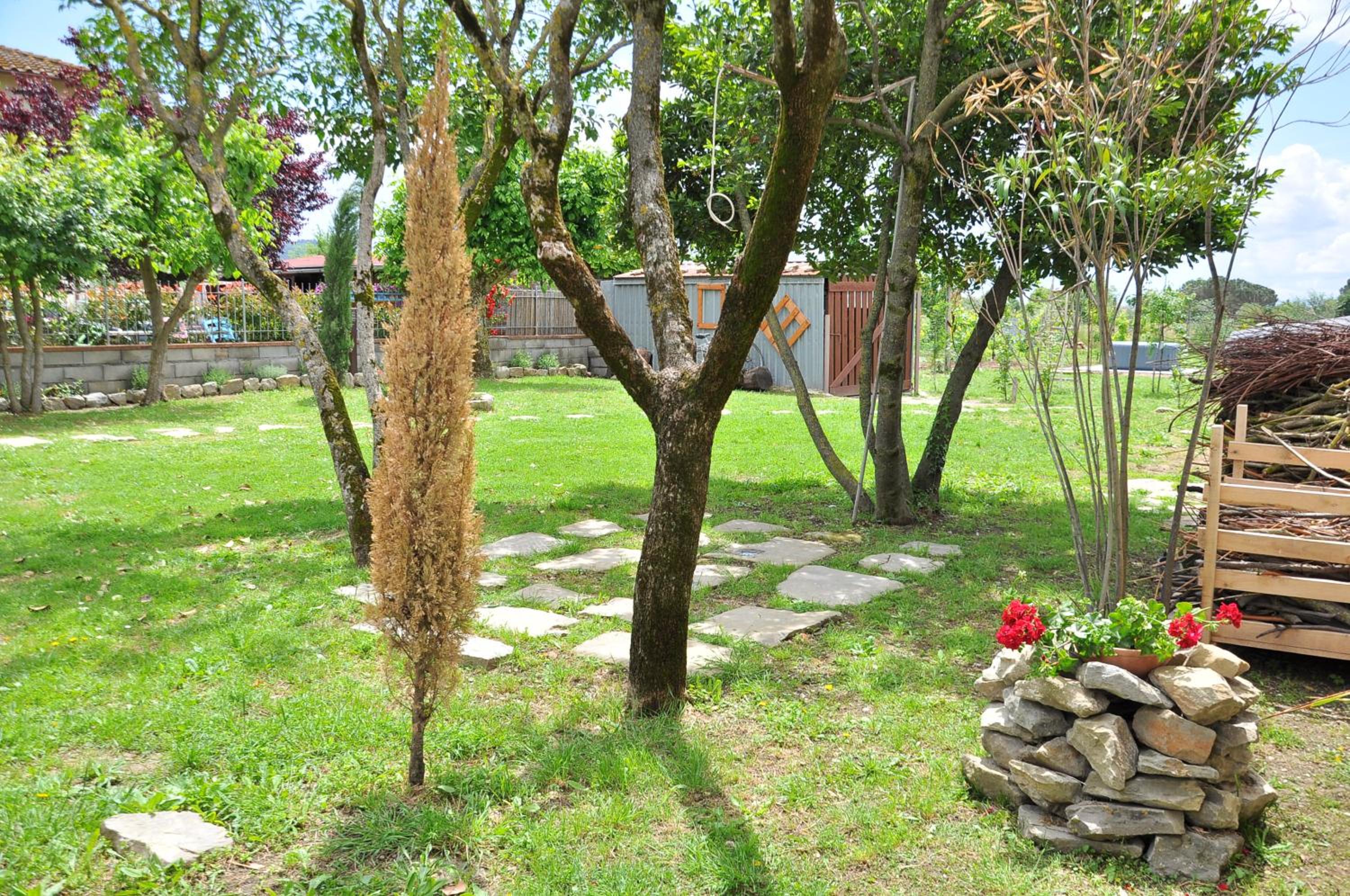 Photo 46
