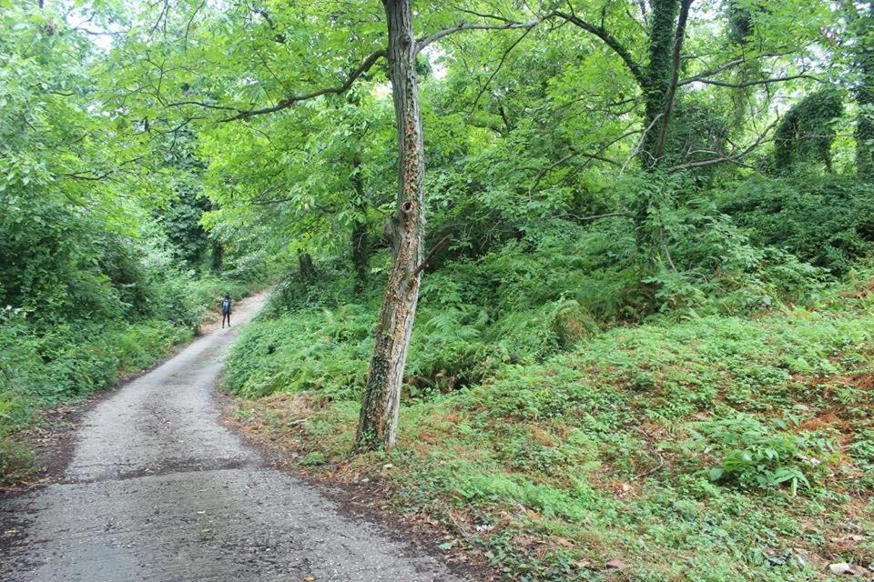 Kalderimi Country House