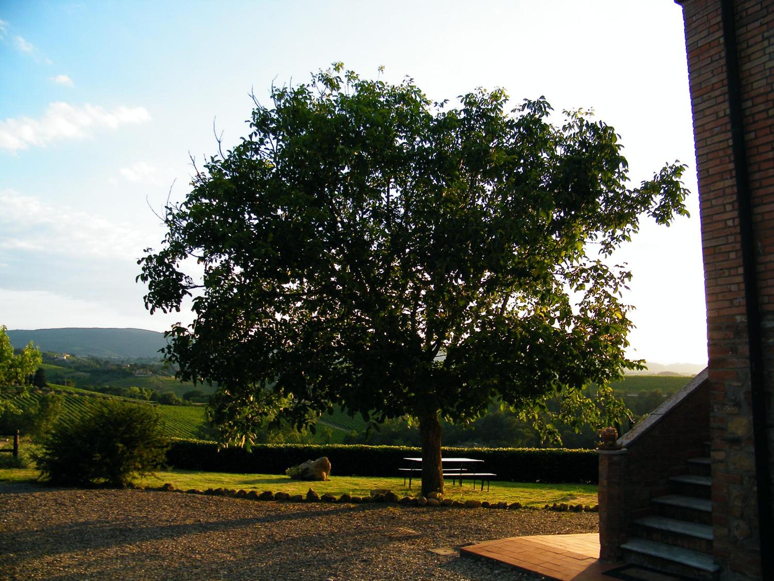Agriturismo Montegonfoli