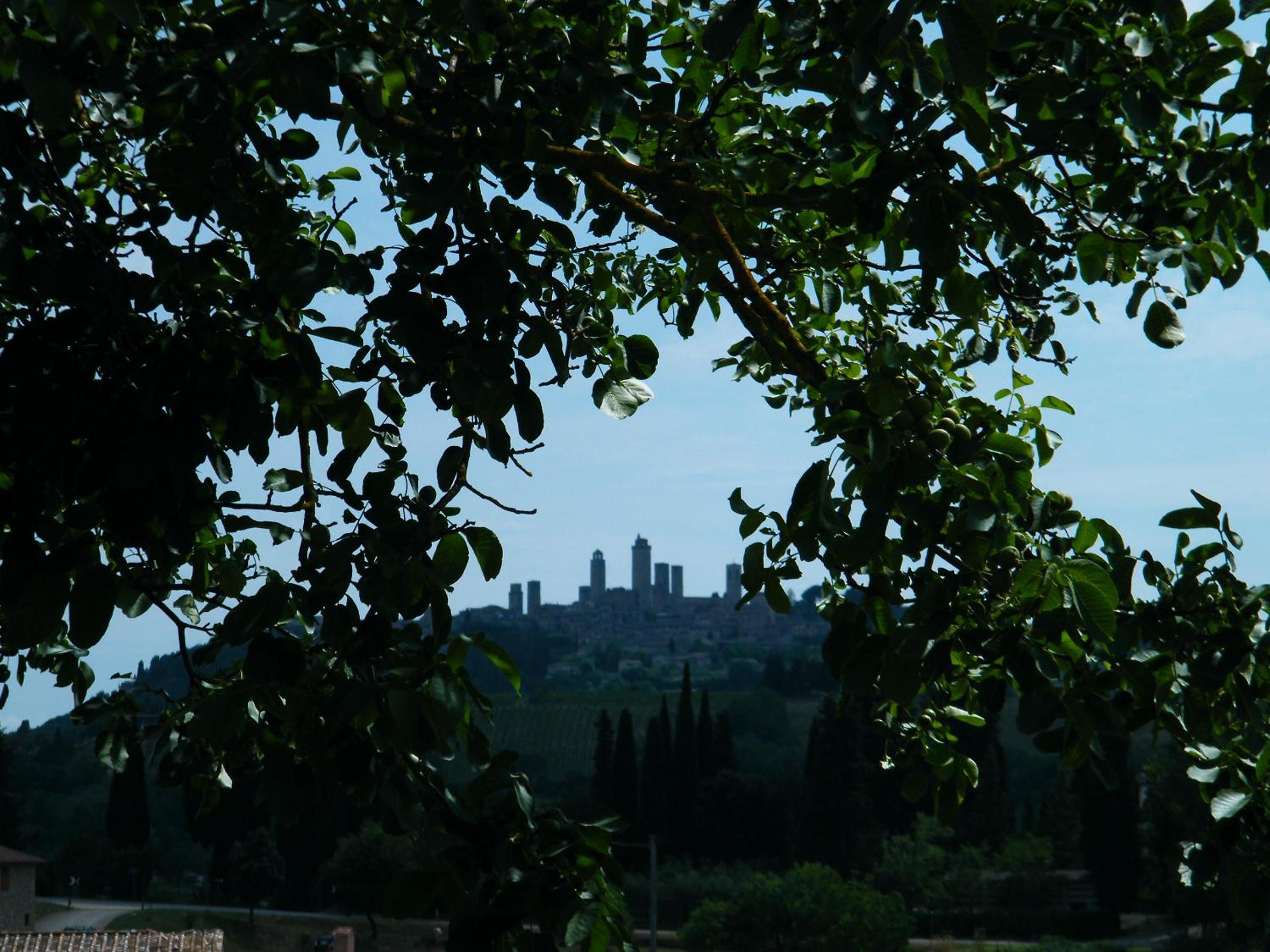 Agriturismo Montegonfoli