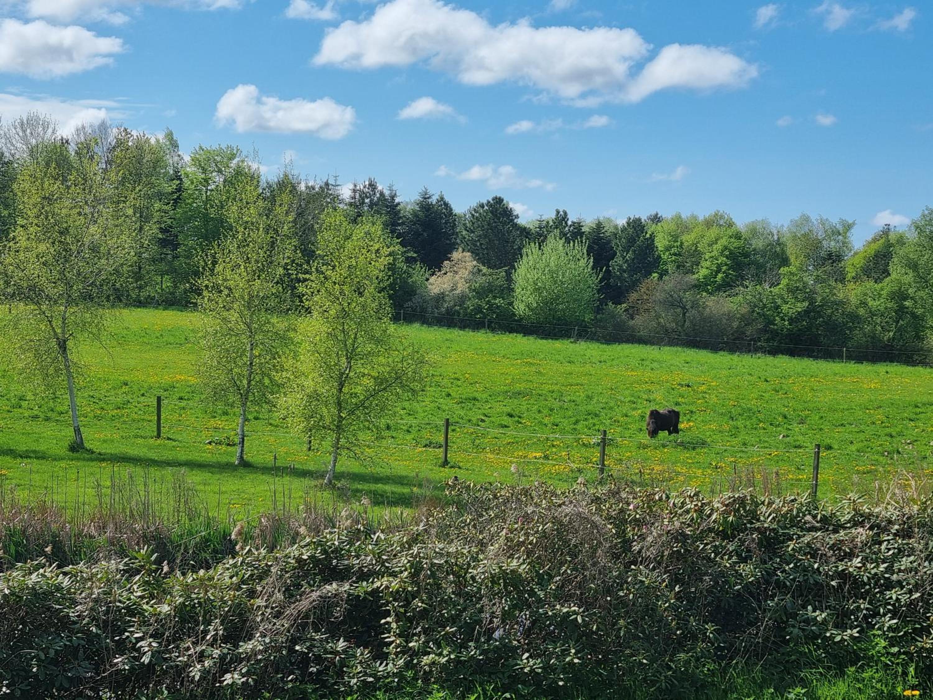 Gæstehuset på Agerholm