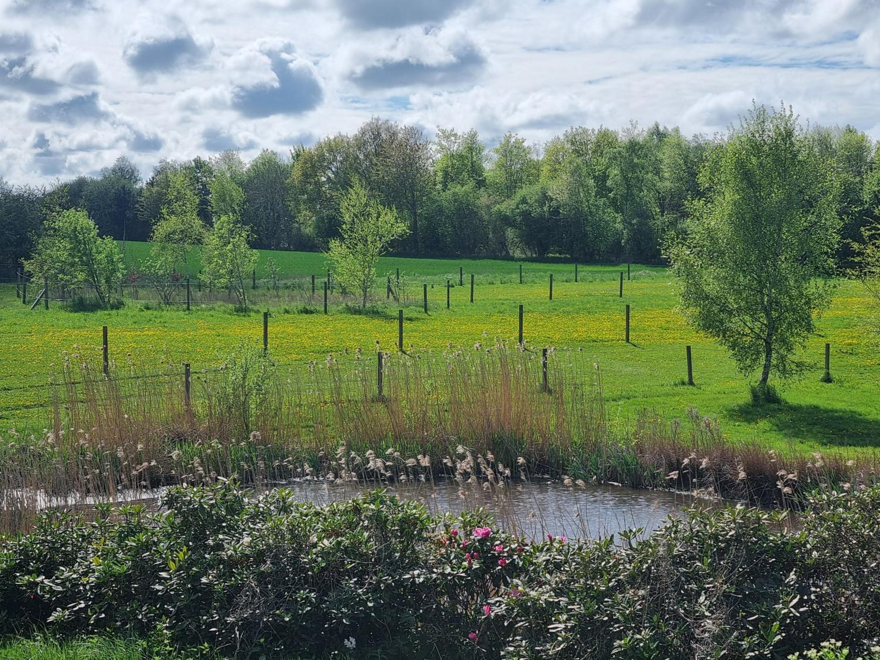 Gæstehuset på Agerholm