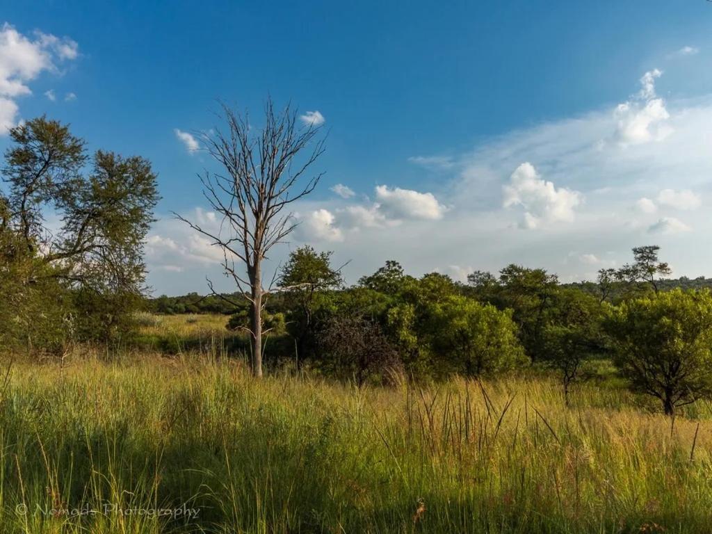 KwaThabisile Bush Retreat
