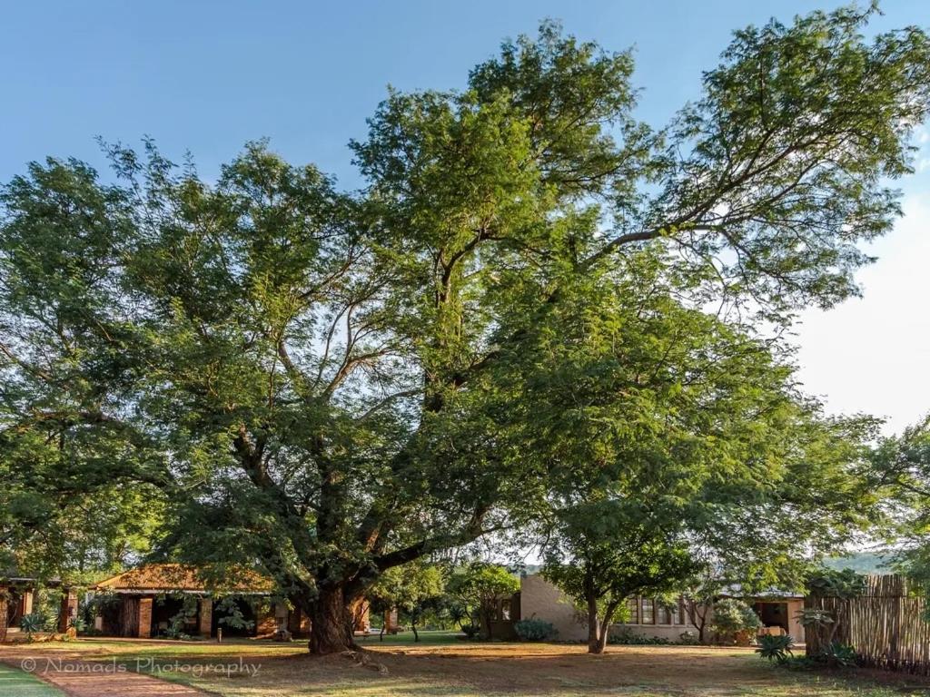 KwaThabisile Bush Retreat