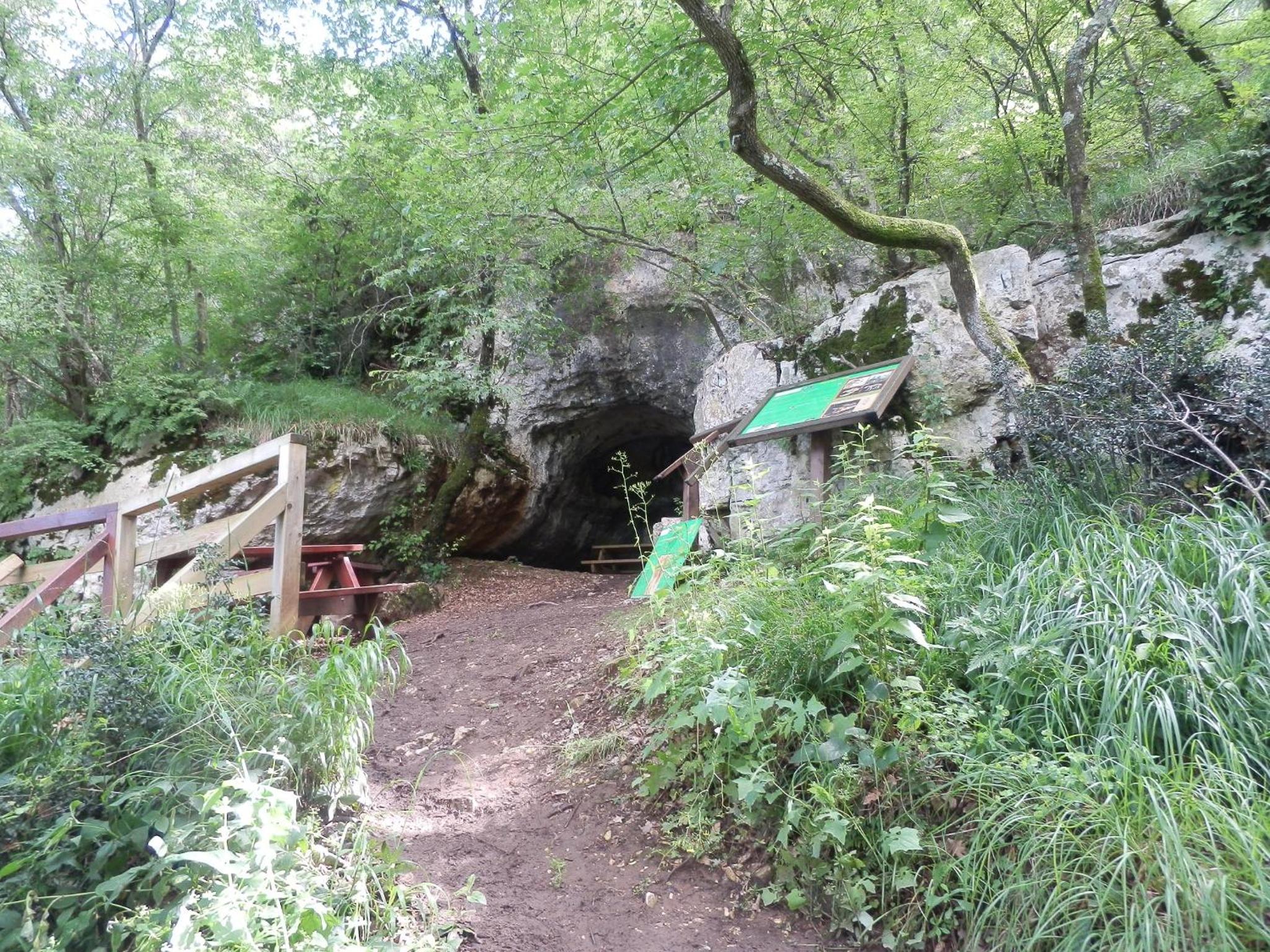 Photo 28