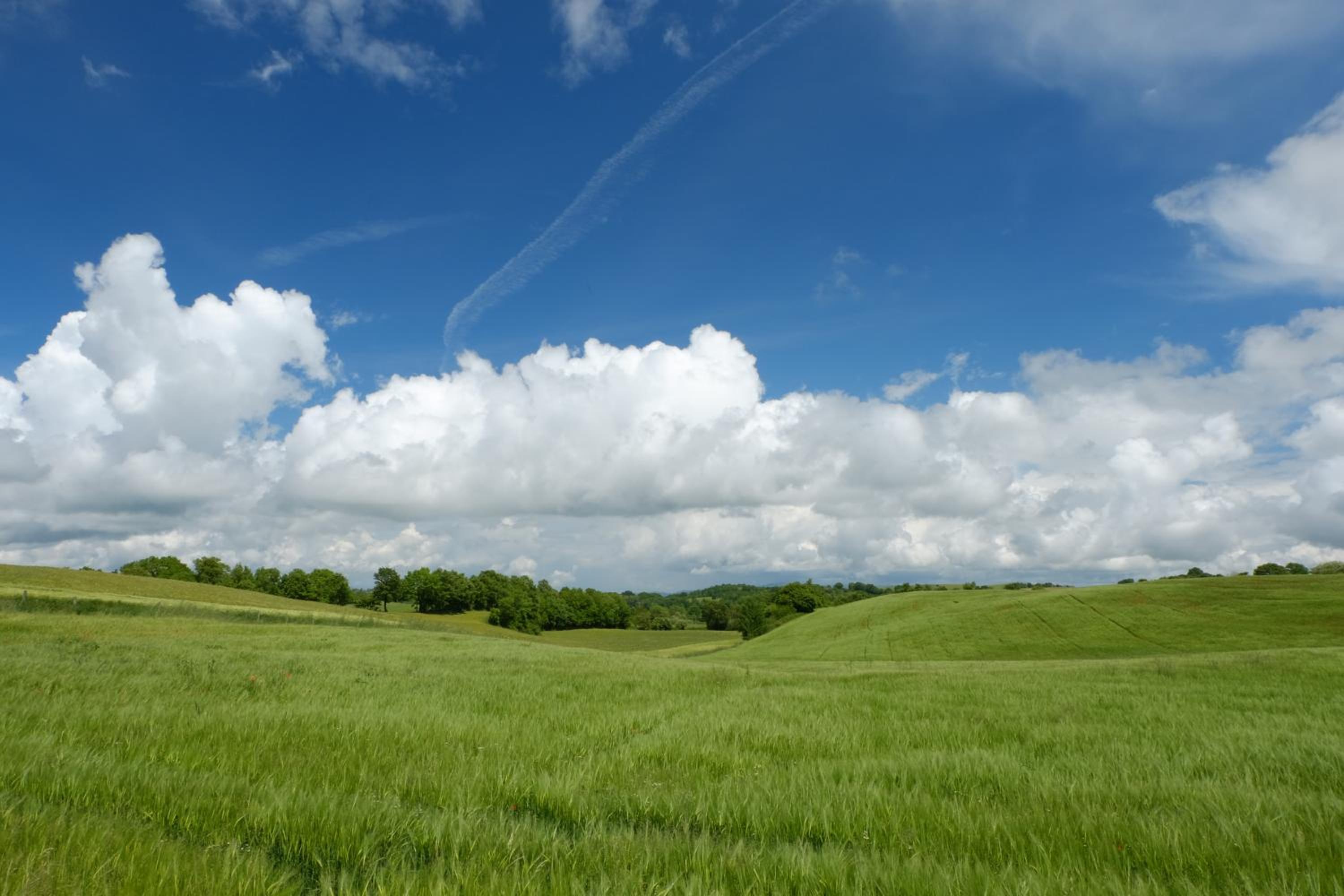 B&B Podere Ospedaletto photo 5