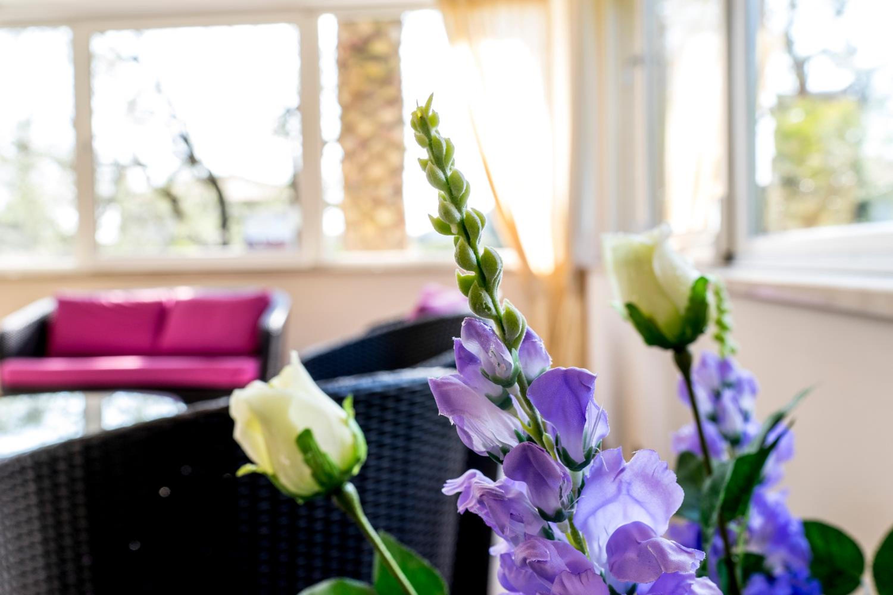 Hotel Sorriso, photo 10