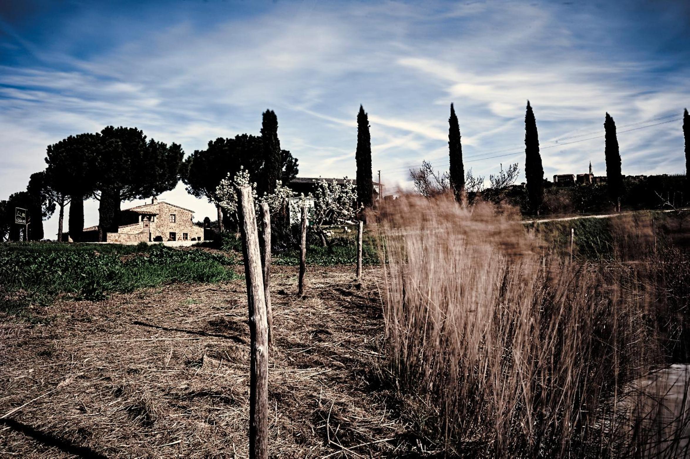 Photo 43