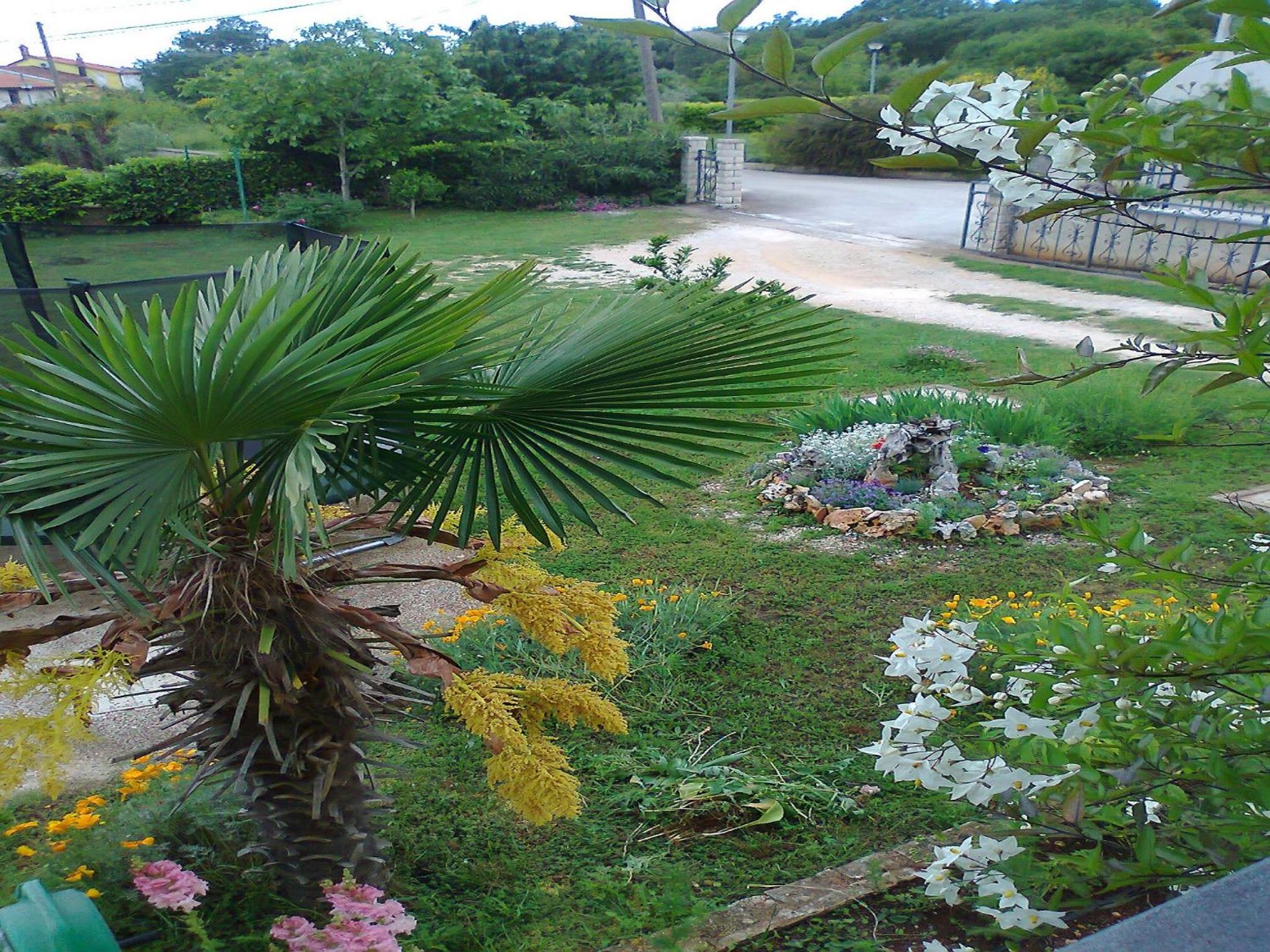 Photo 40