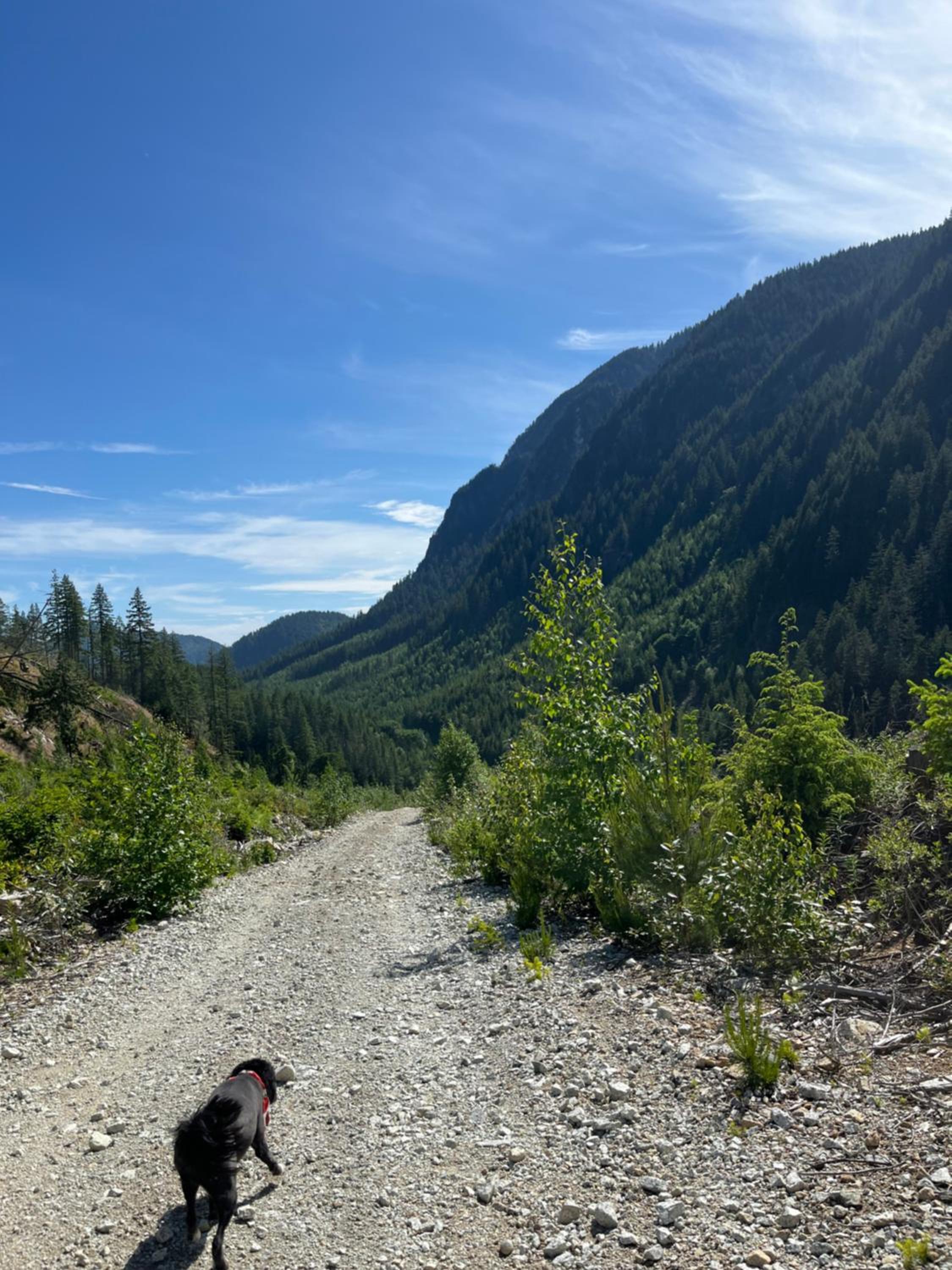 Peaks & Waters at Harrison Mills