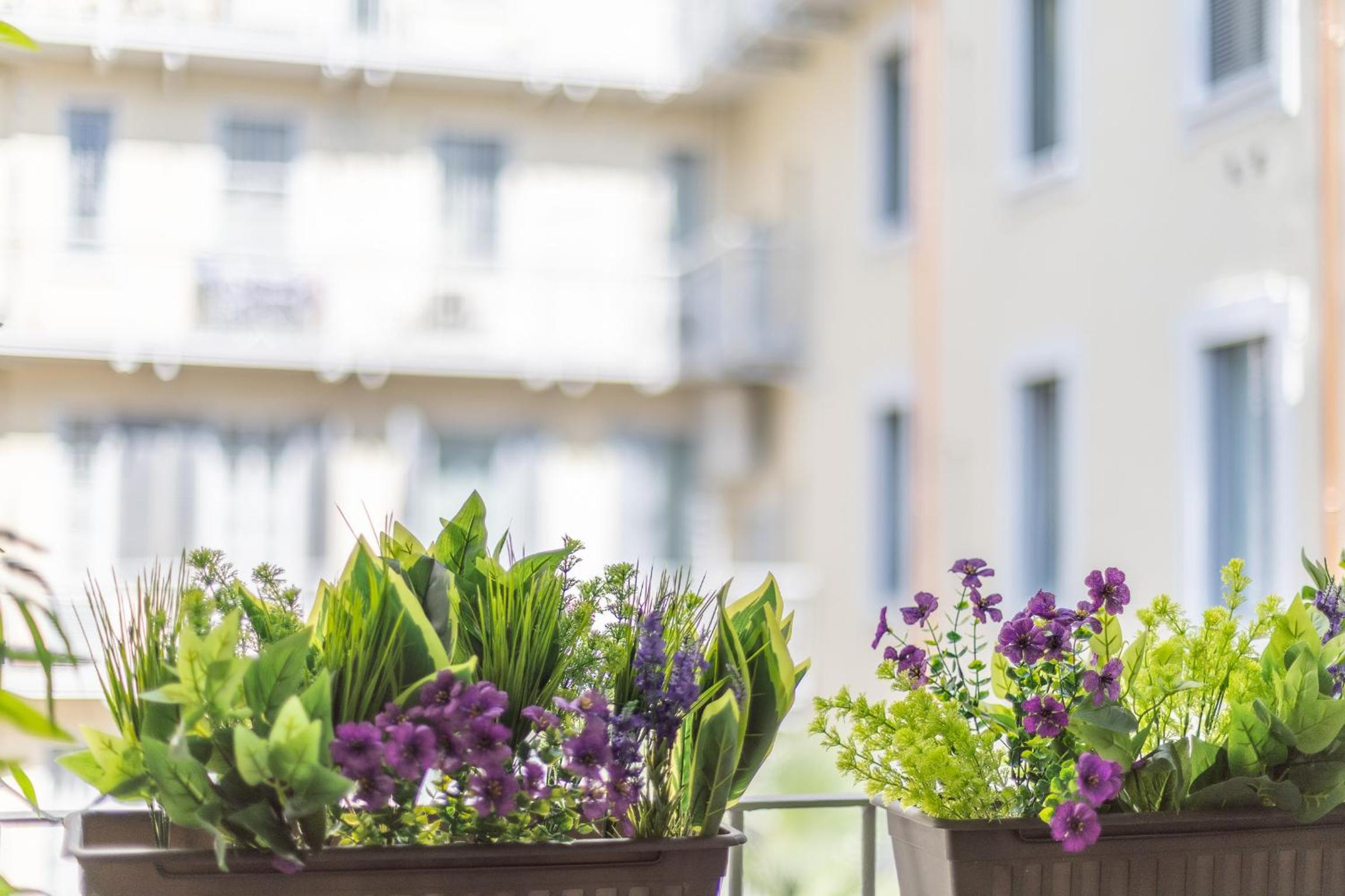 Sunny apartment with terrace in Milan city center by Rentopolis
