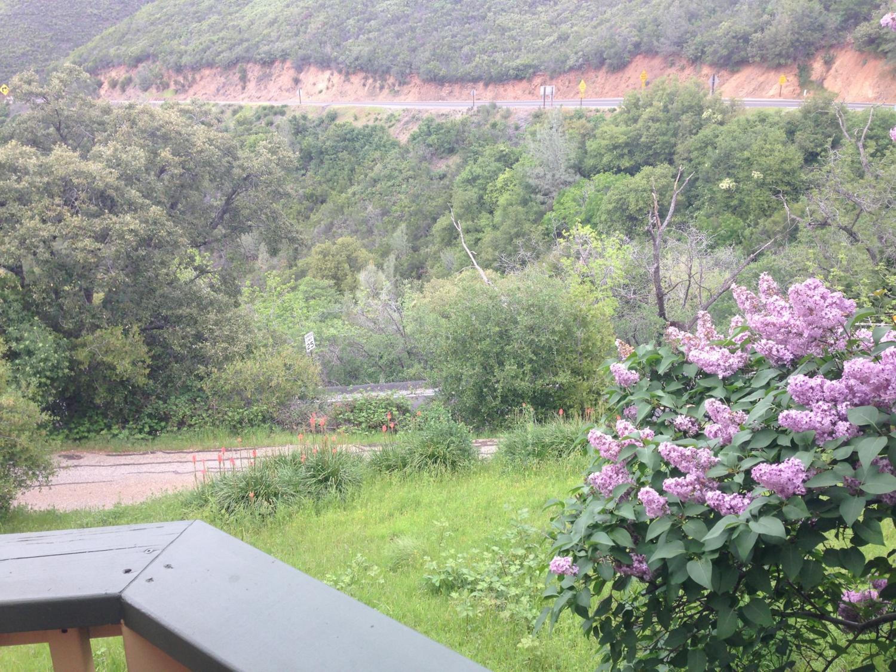 Priest Station Cafe & Cabins view 5
