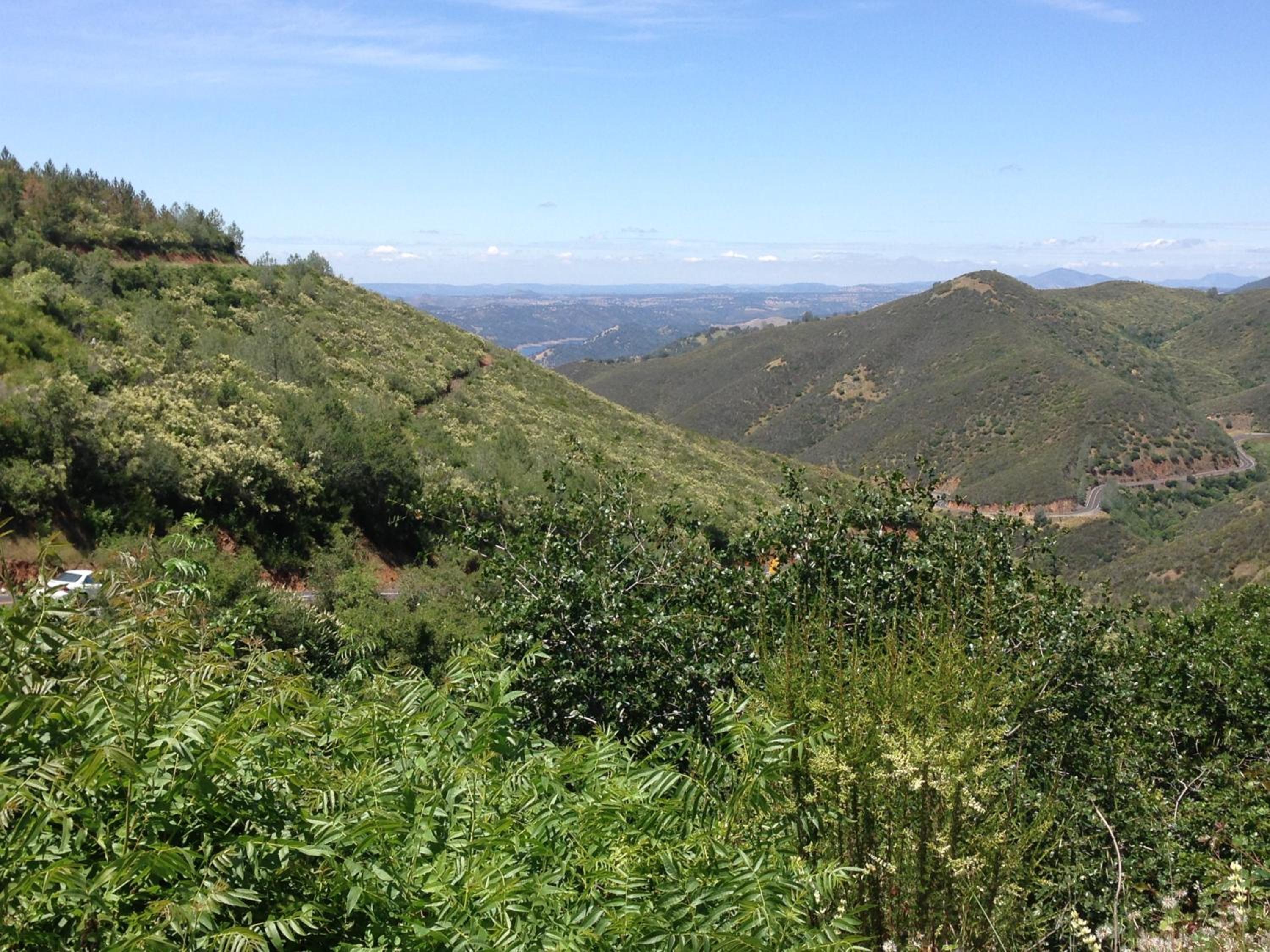 Priest Station Cafe & Cabins view 4