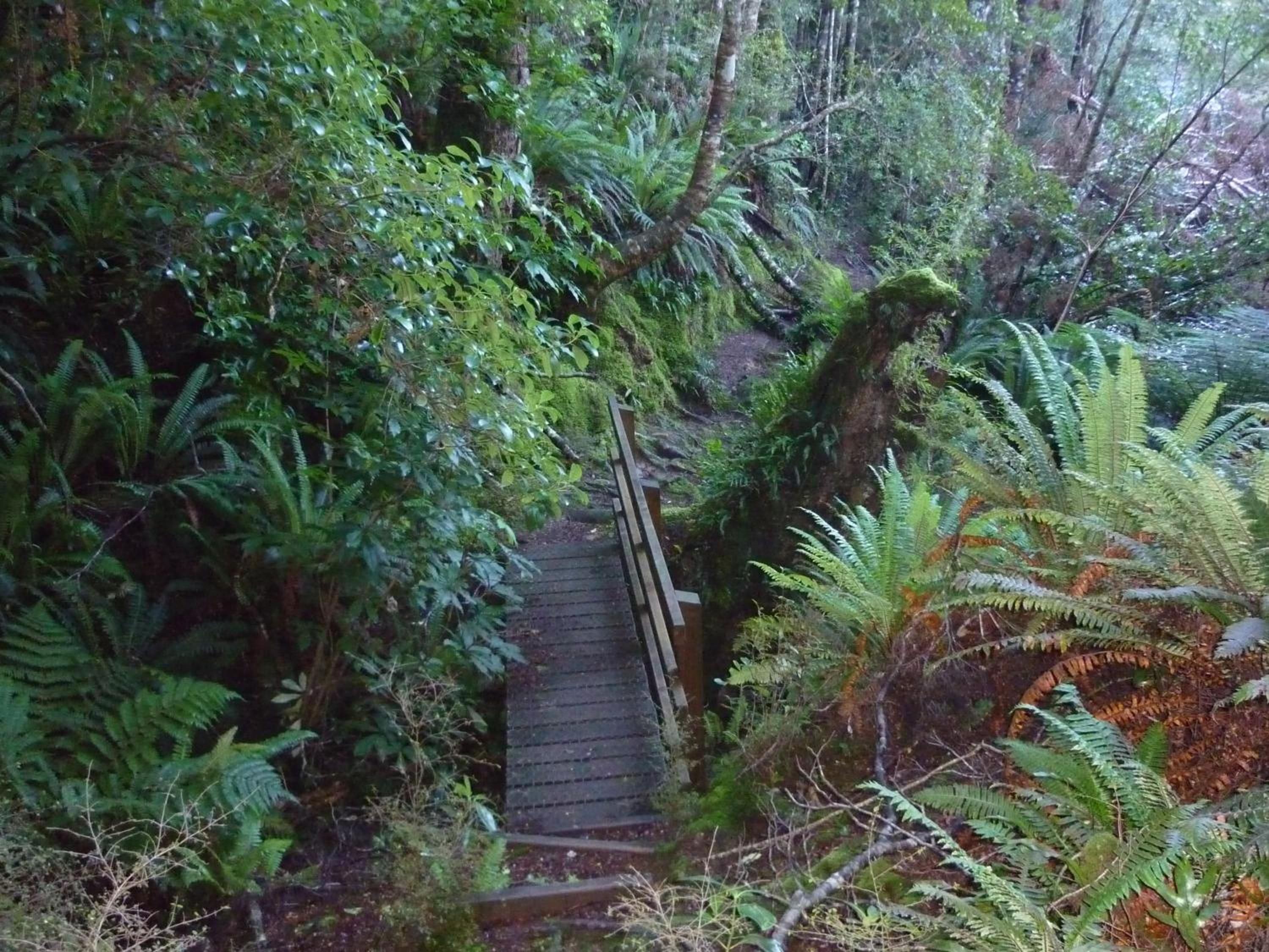 Photo 30
