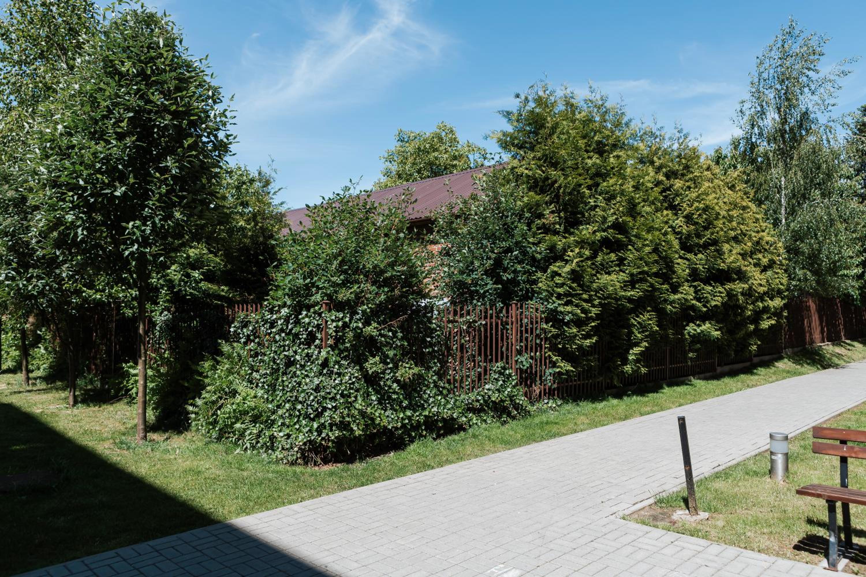 Photo 14