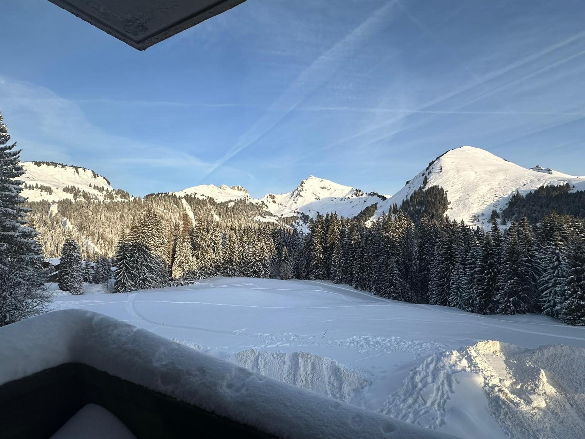 Studio au cœur du Praz-de-Lys - Les Pralyssimes