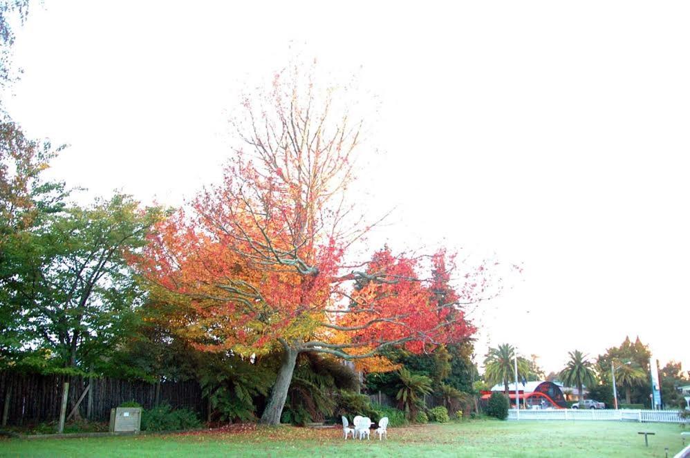 Photo 47