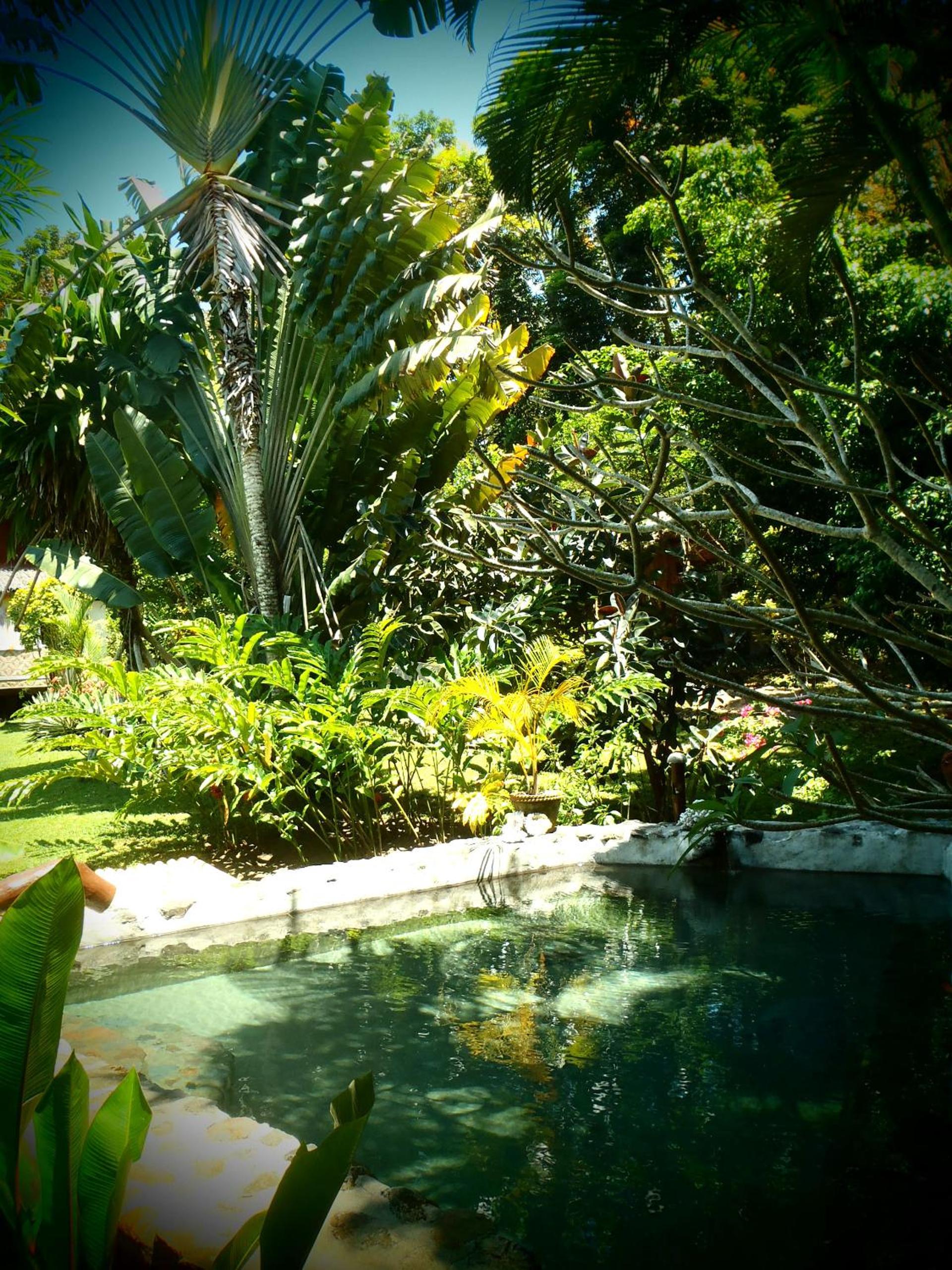 Nypa Style Resort Camiguin — photo 74