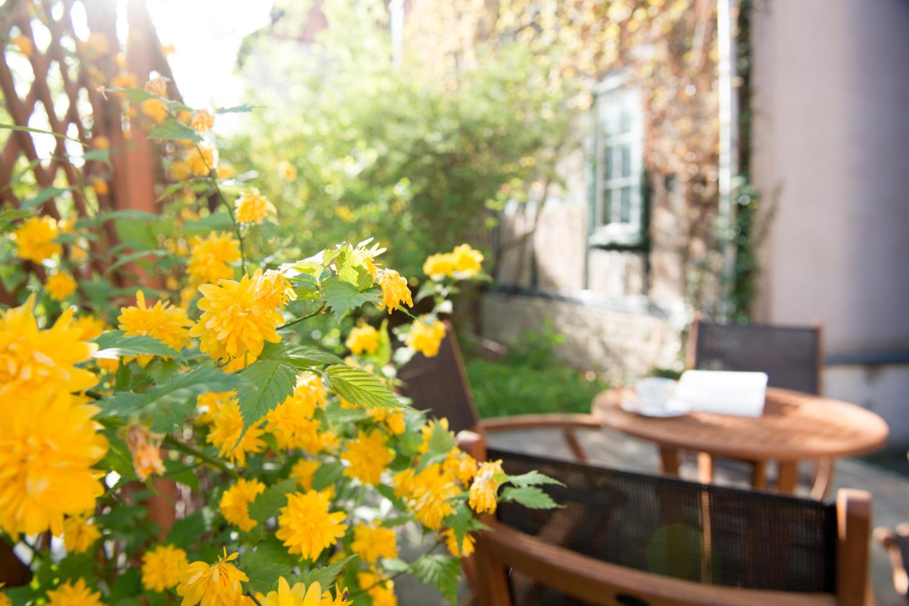 Apartmenthaus im Stieg view 5