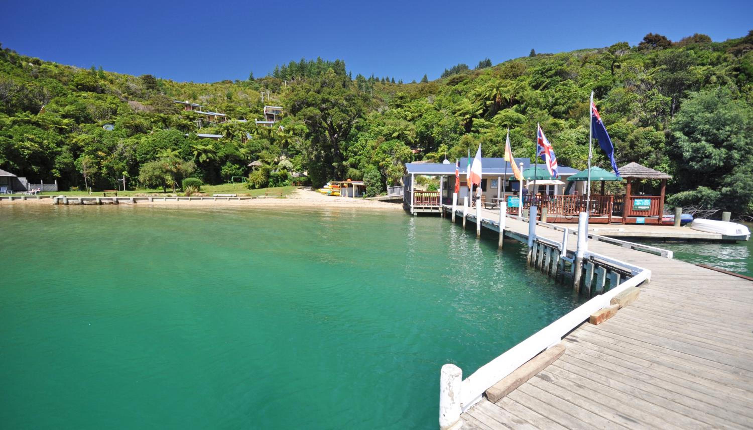 Punga Cove Resort 33