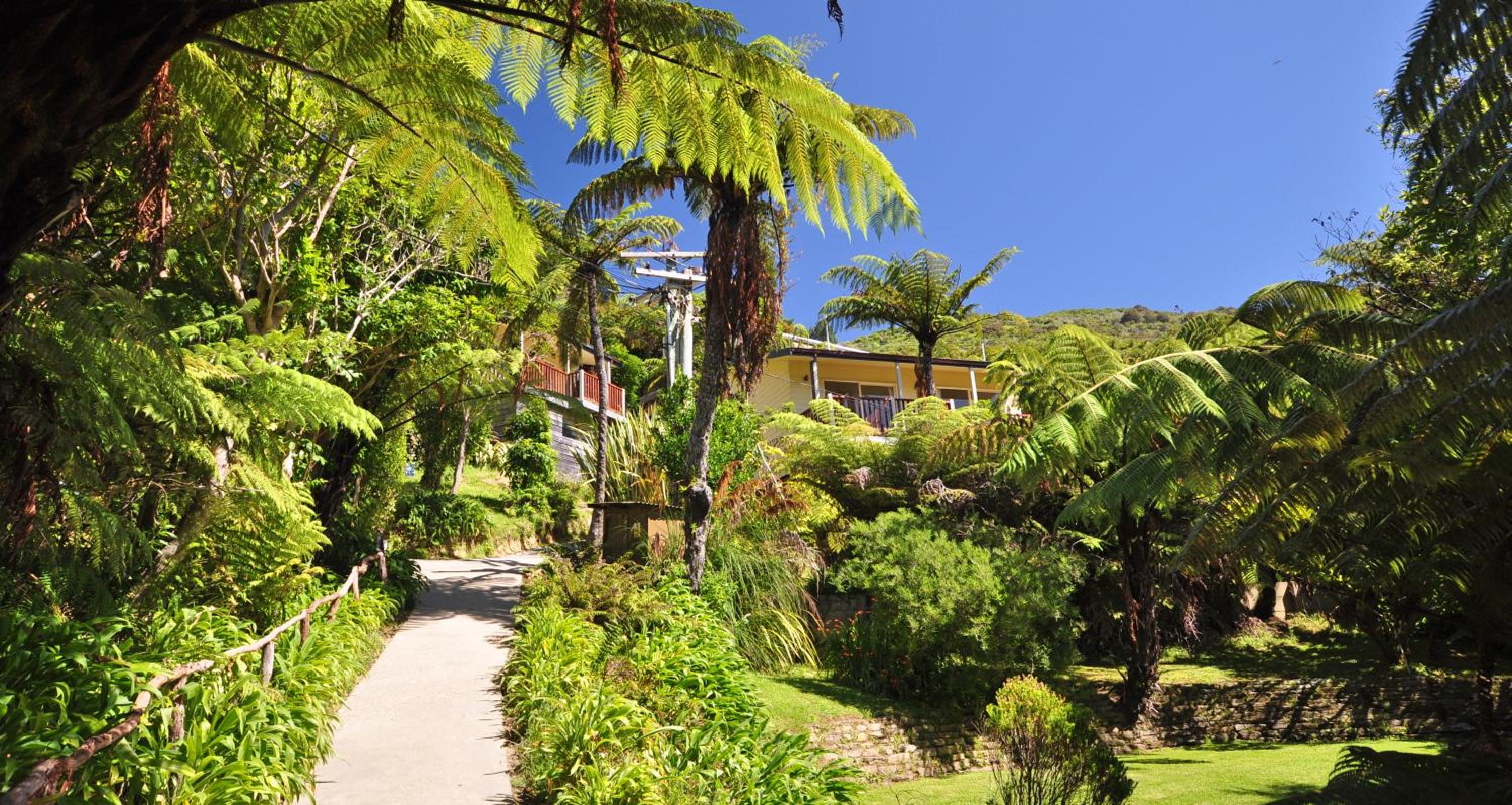 Punga Cove Resort 34