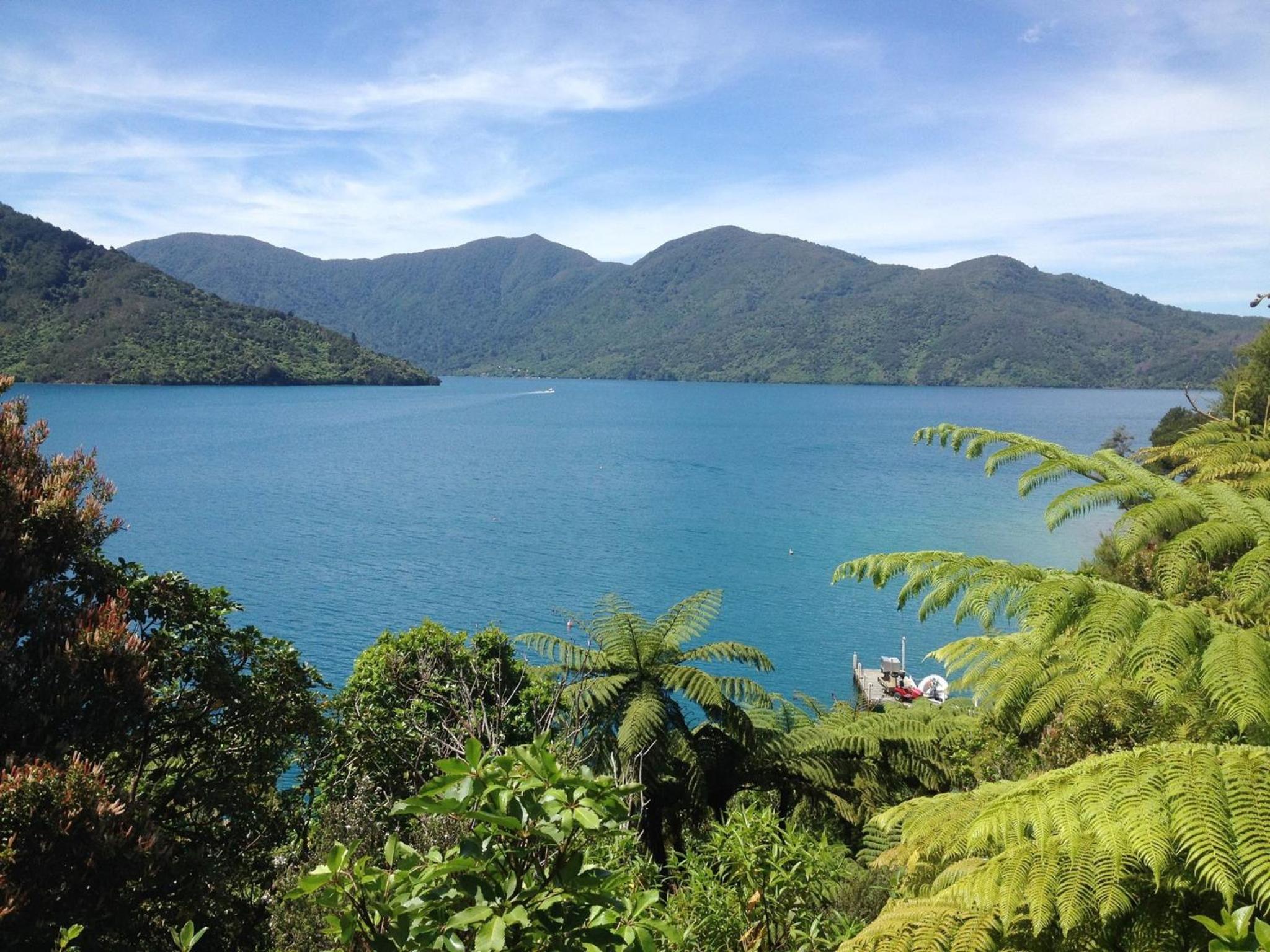Punga Cove Resort 35