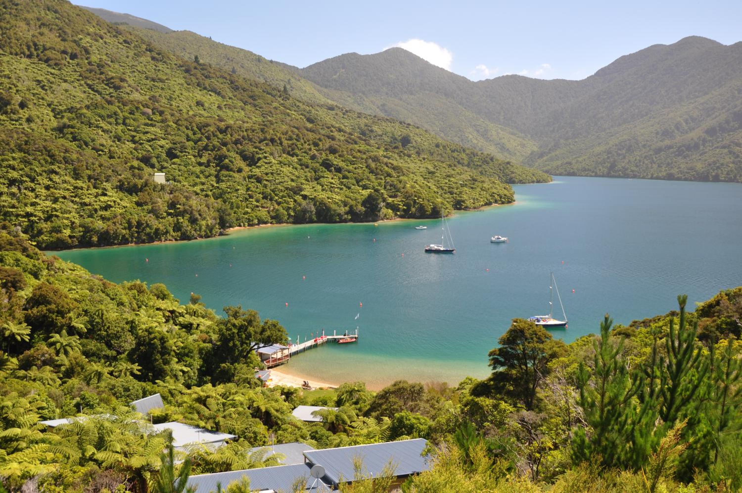 Punga Cove Resort 12