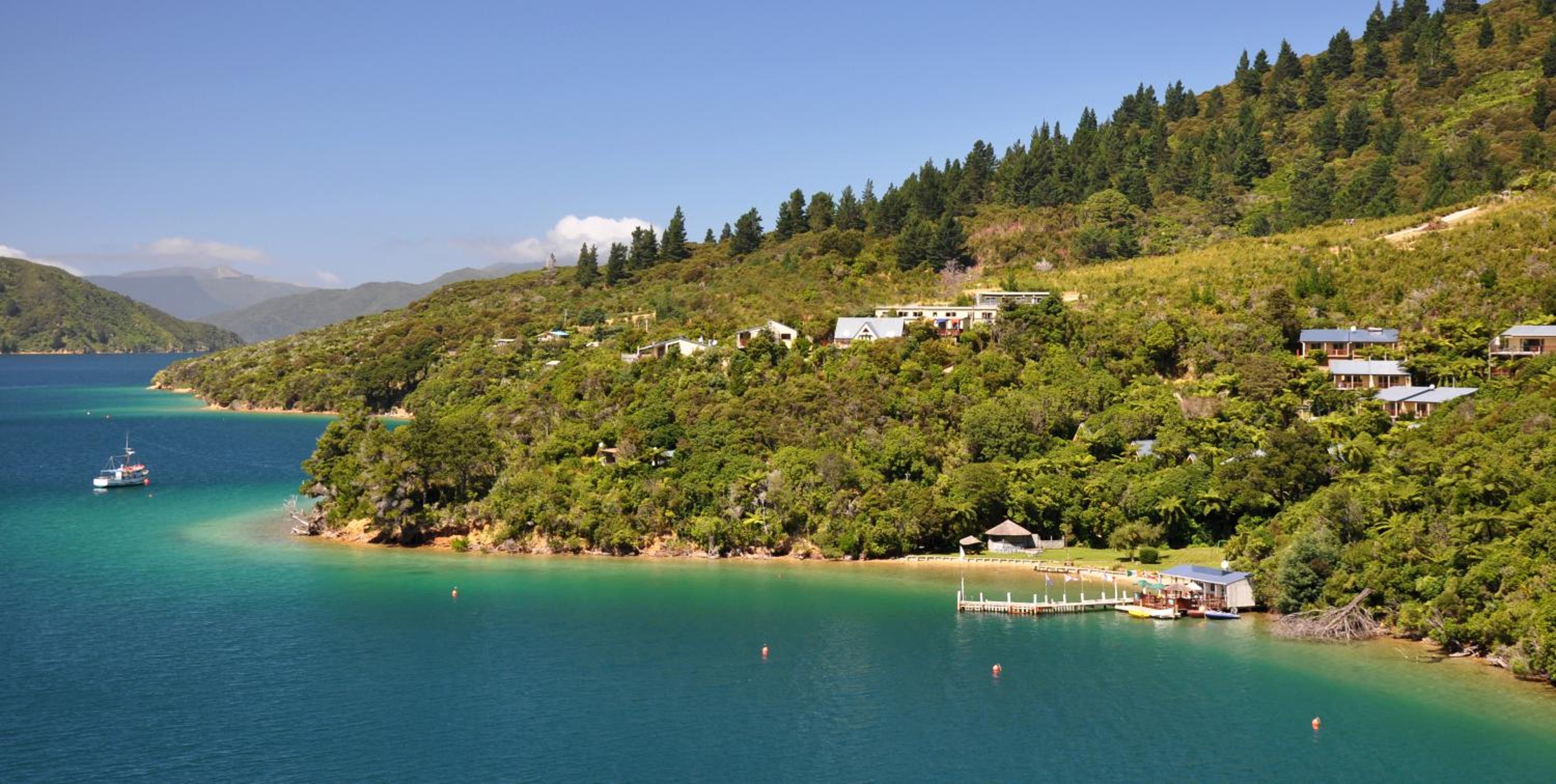 Punga Cove Resort 36
