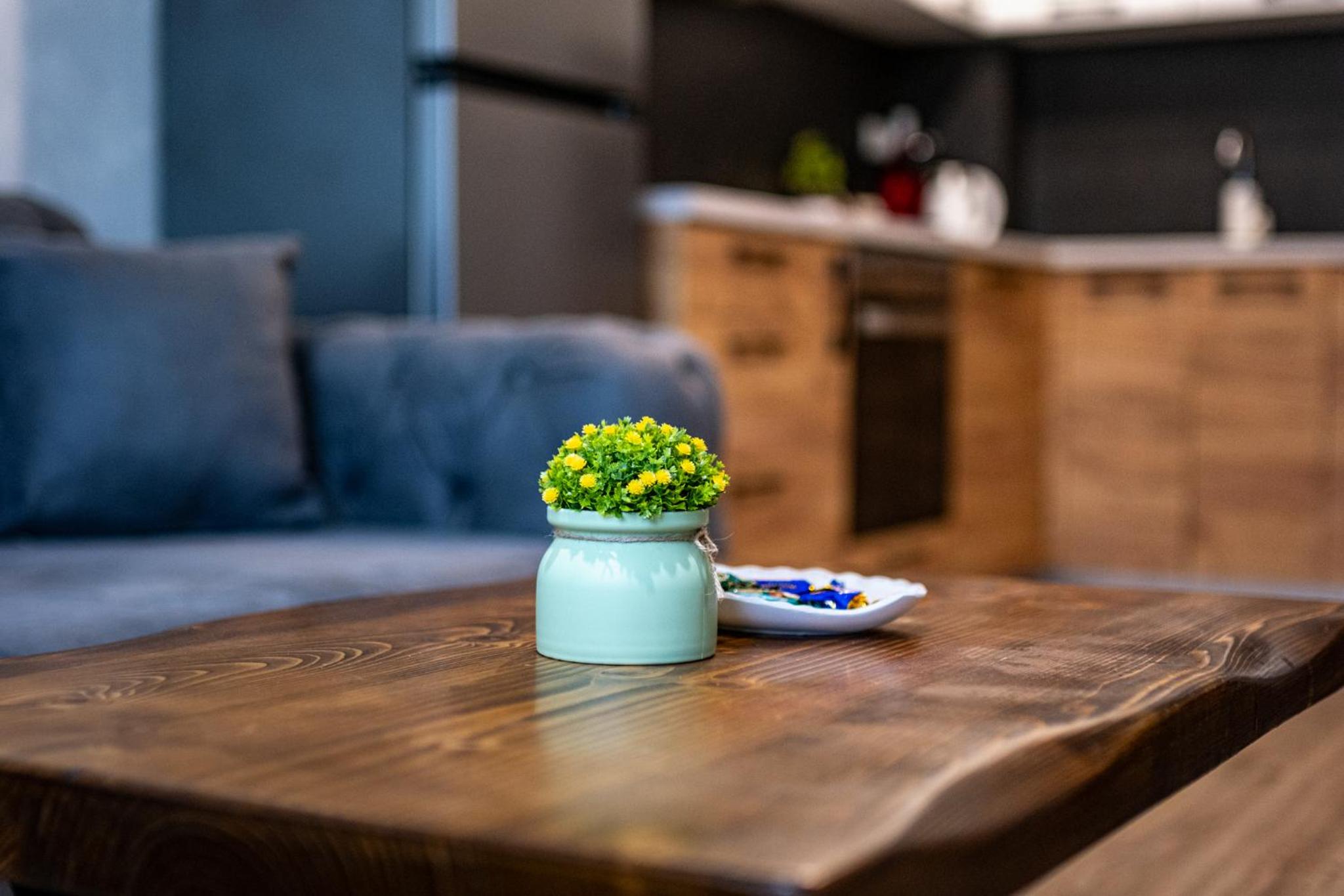 Stylish Apartment with Free Public Parking