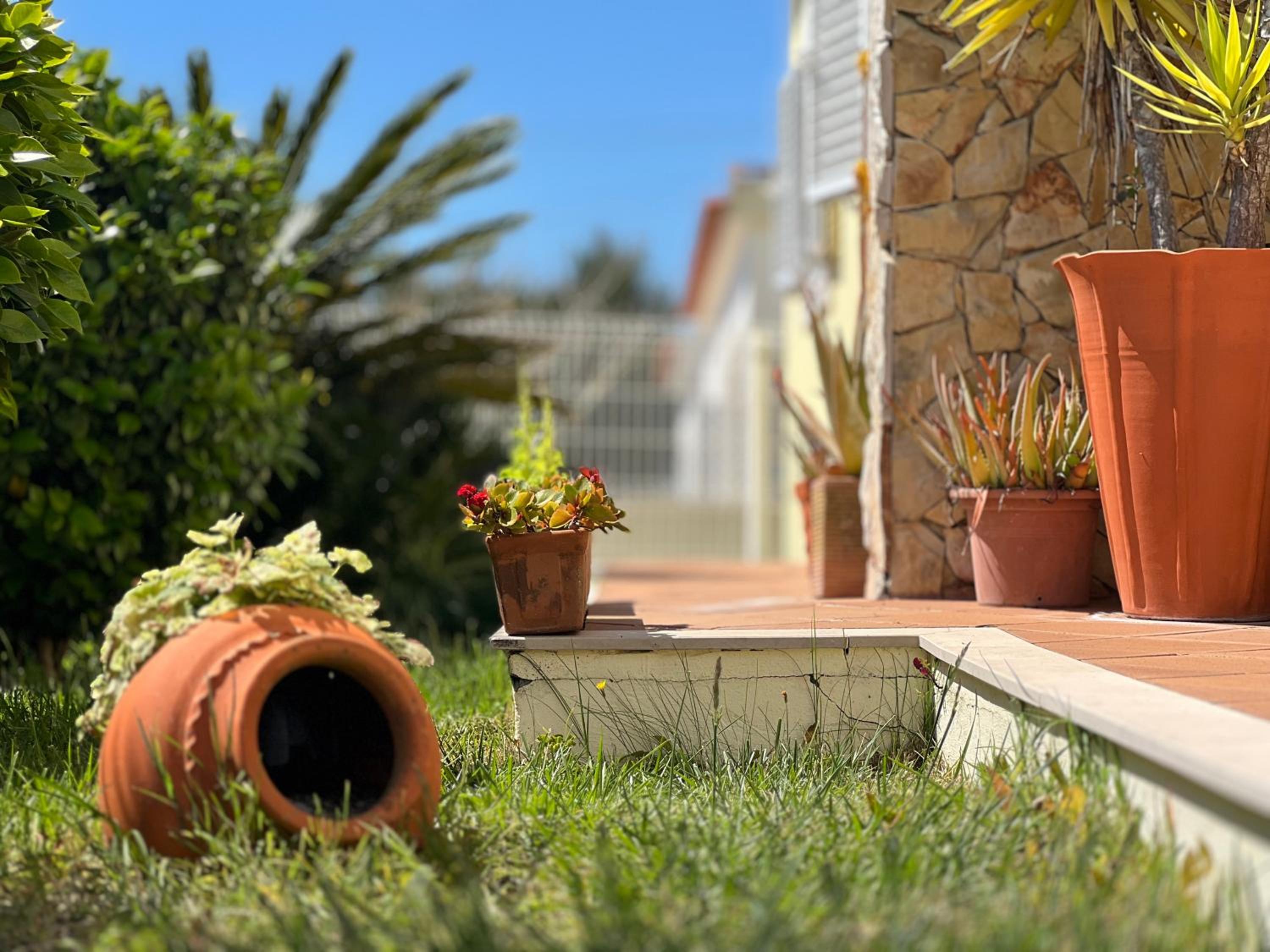 Coastal Breeze Villa in Sesimbra