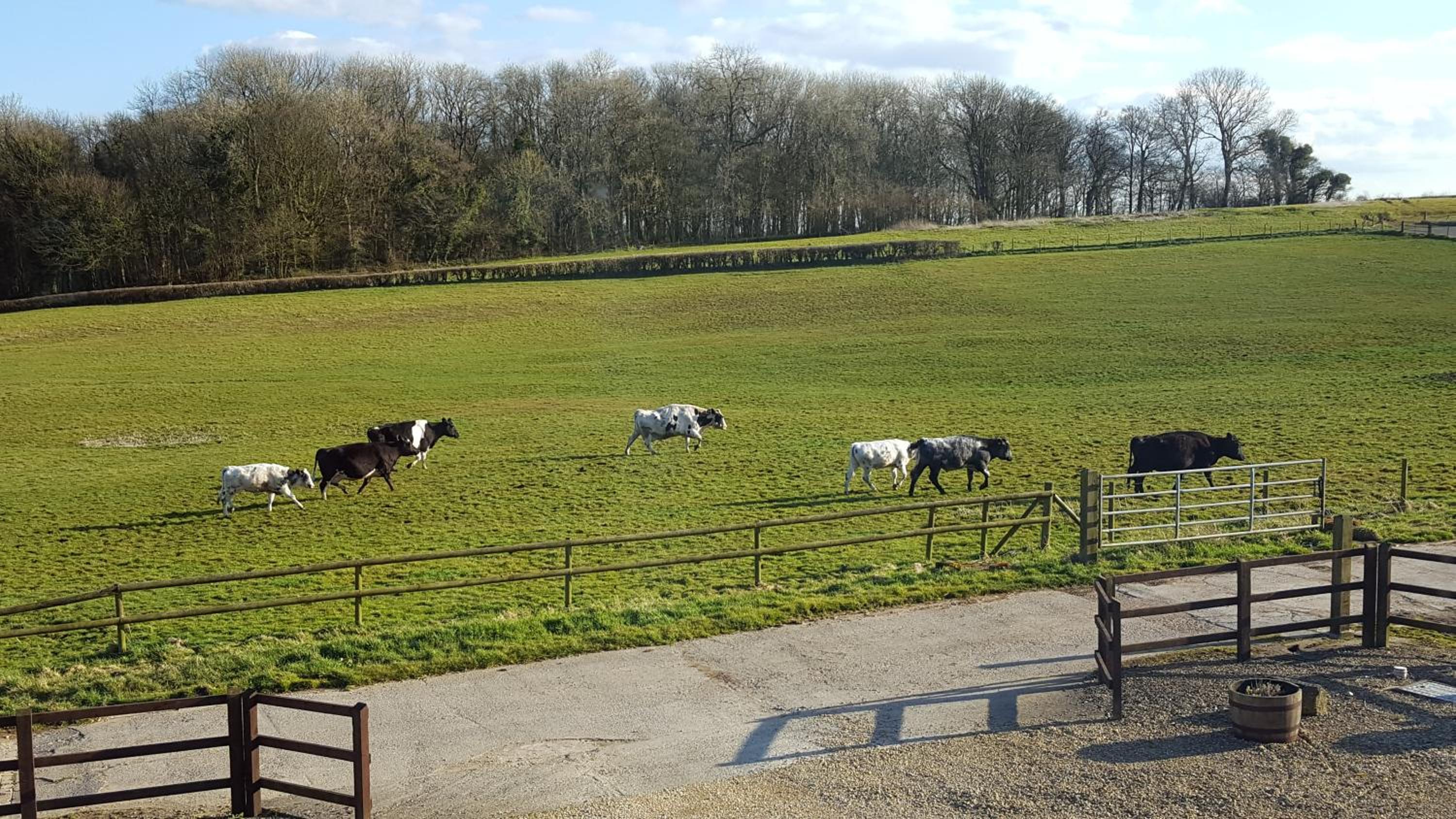 The Old Stables Bed & Breakfast