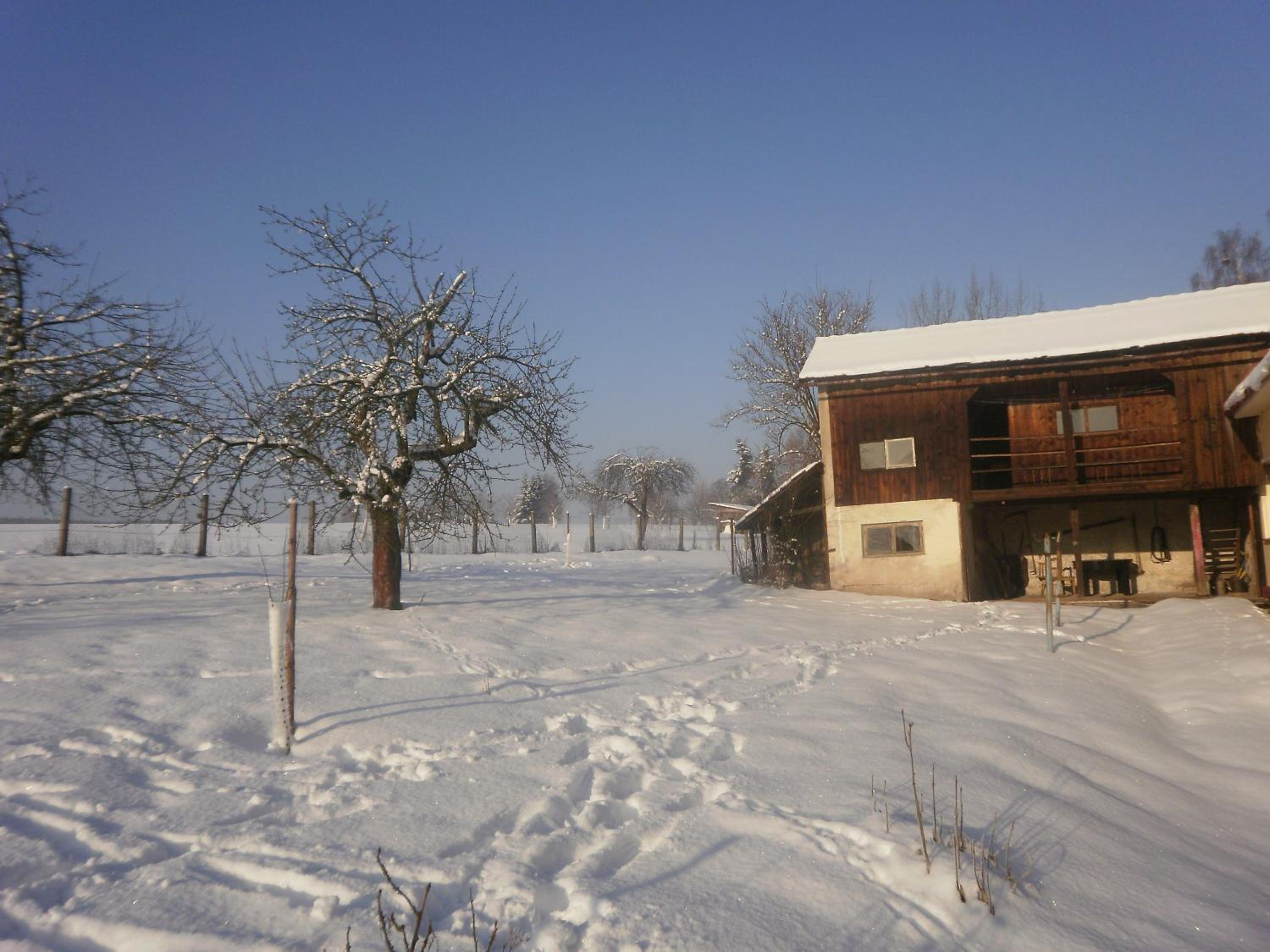 Familiehuis Fuchs
