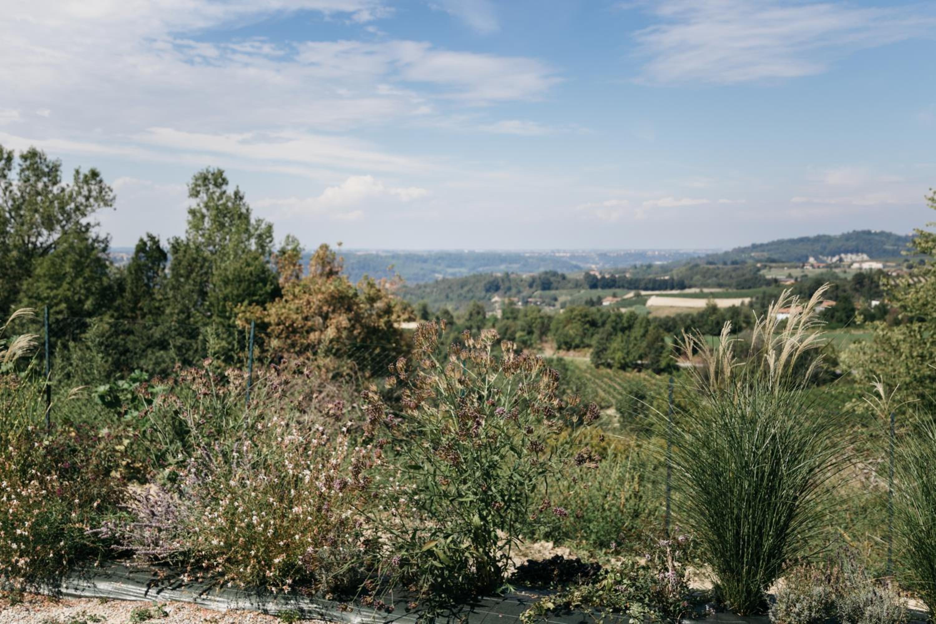 Casa Baricalino