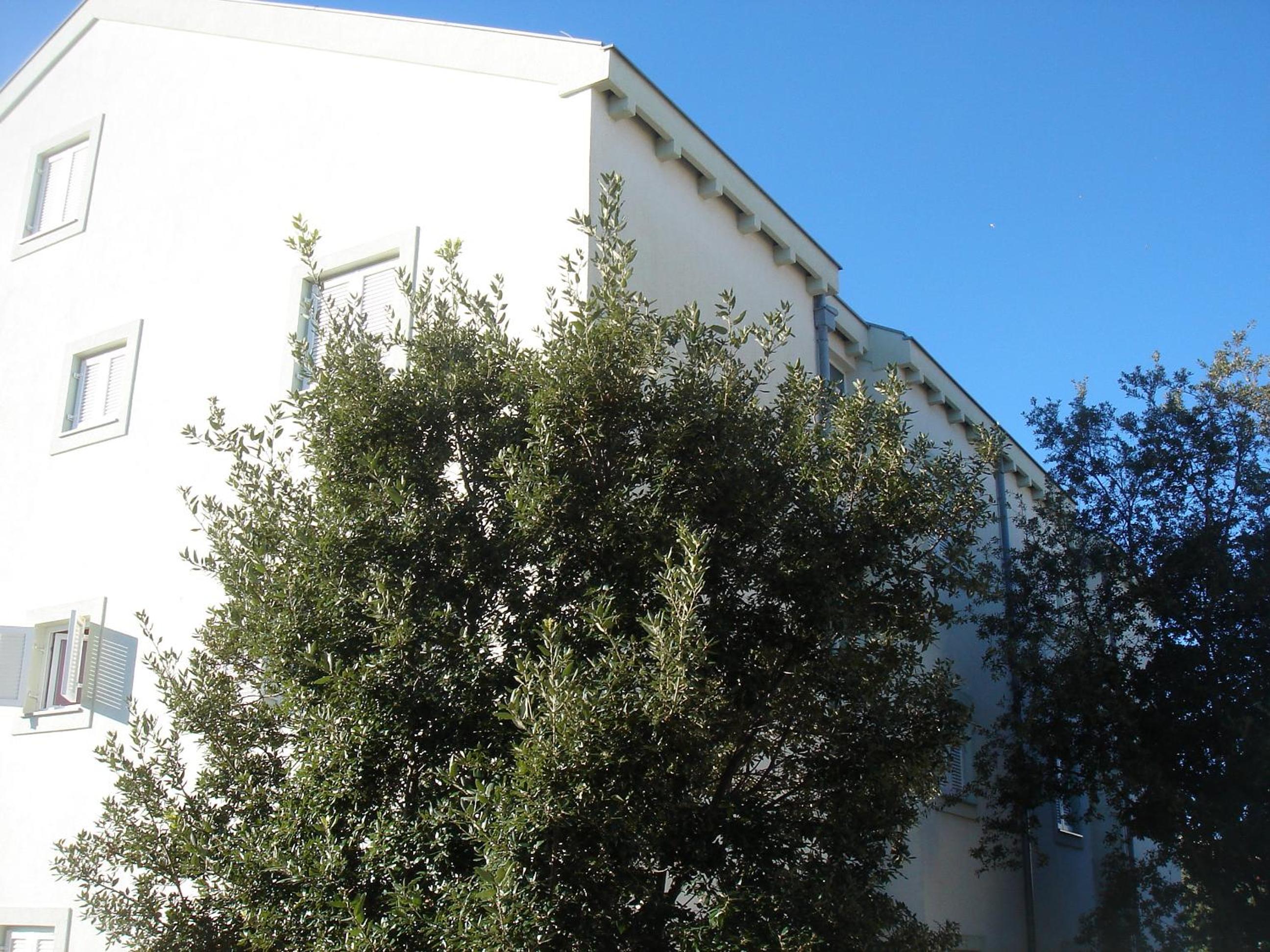 Photo 50