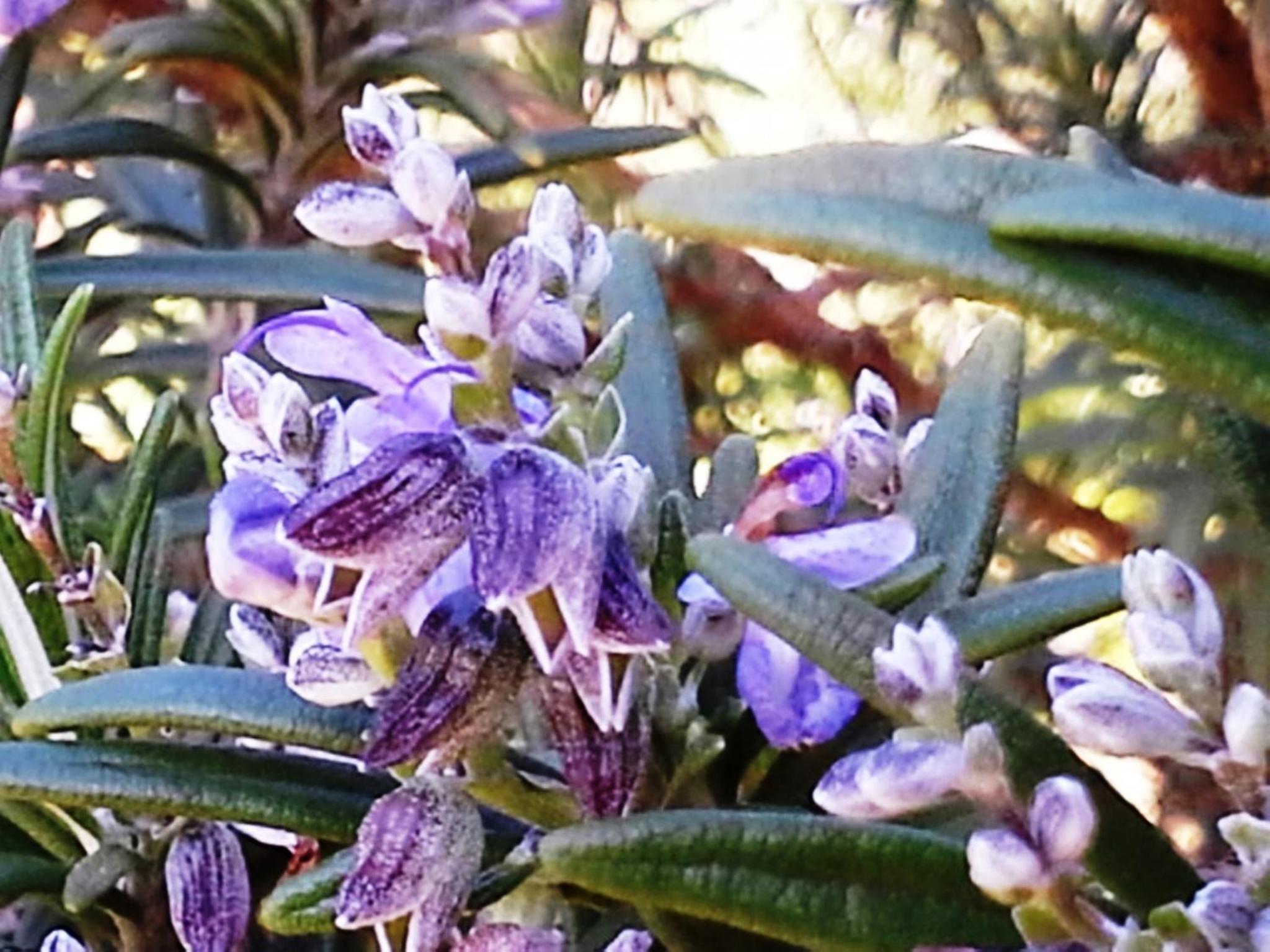 Villa Lugar do Pego, photo 31