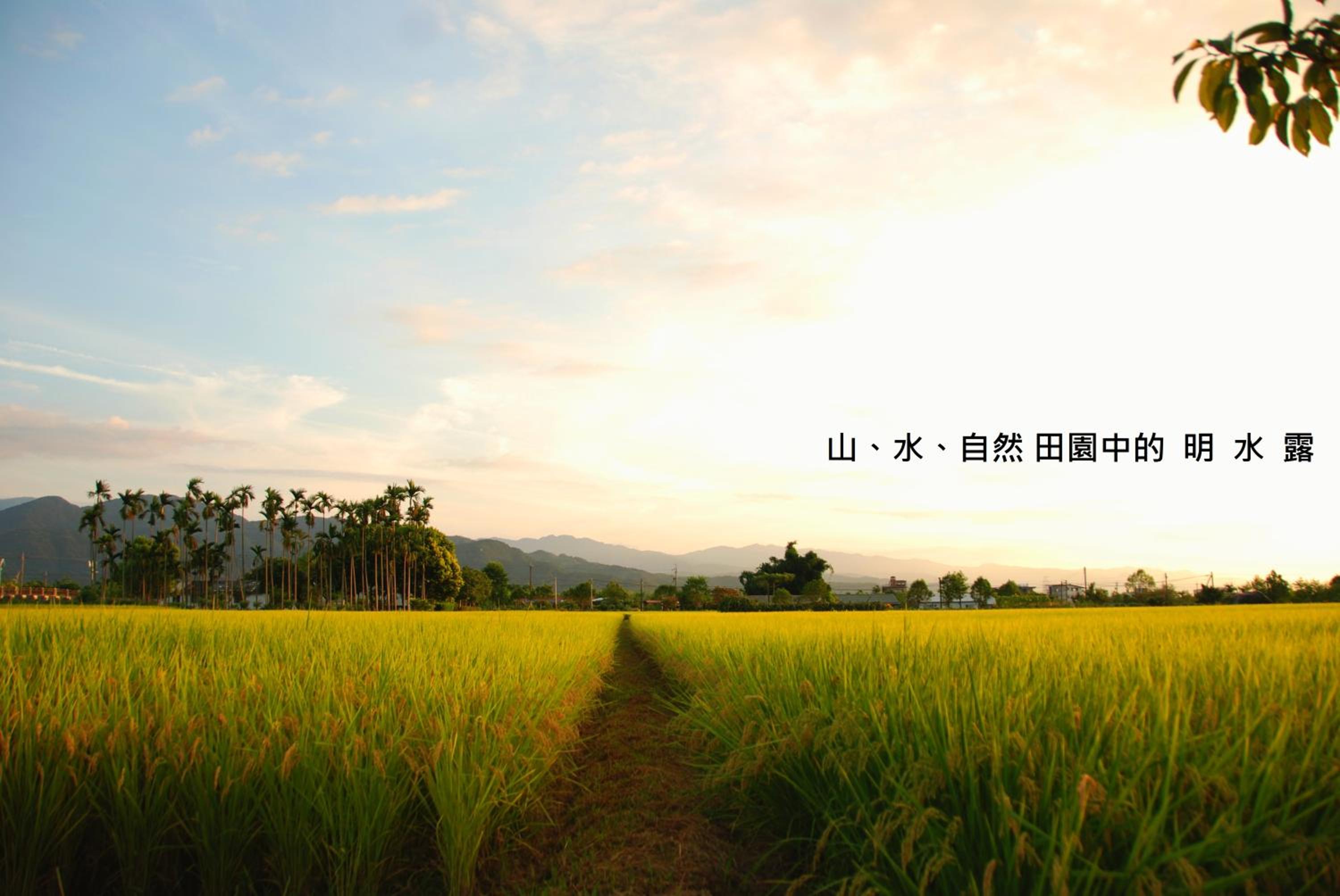 Photo 56