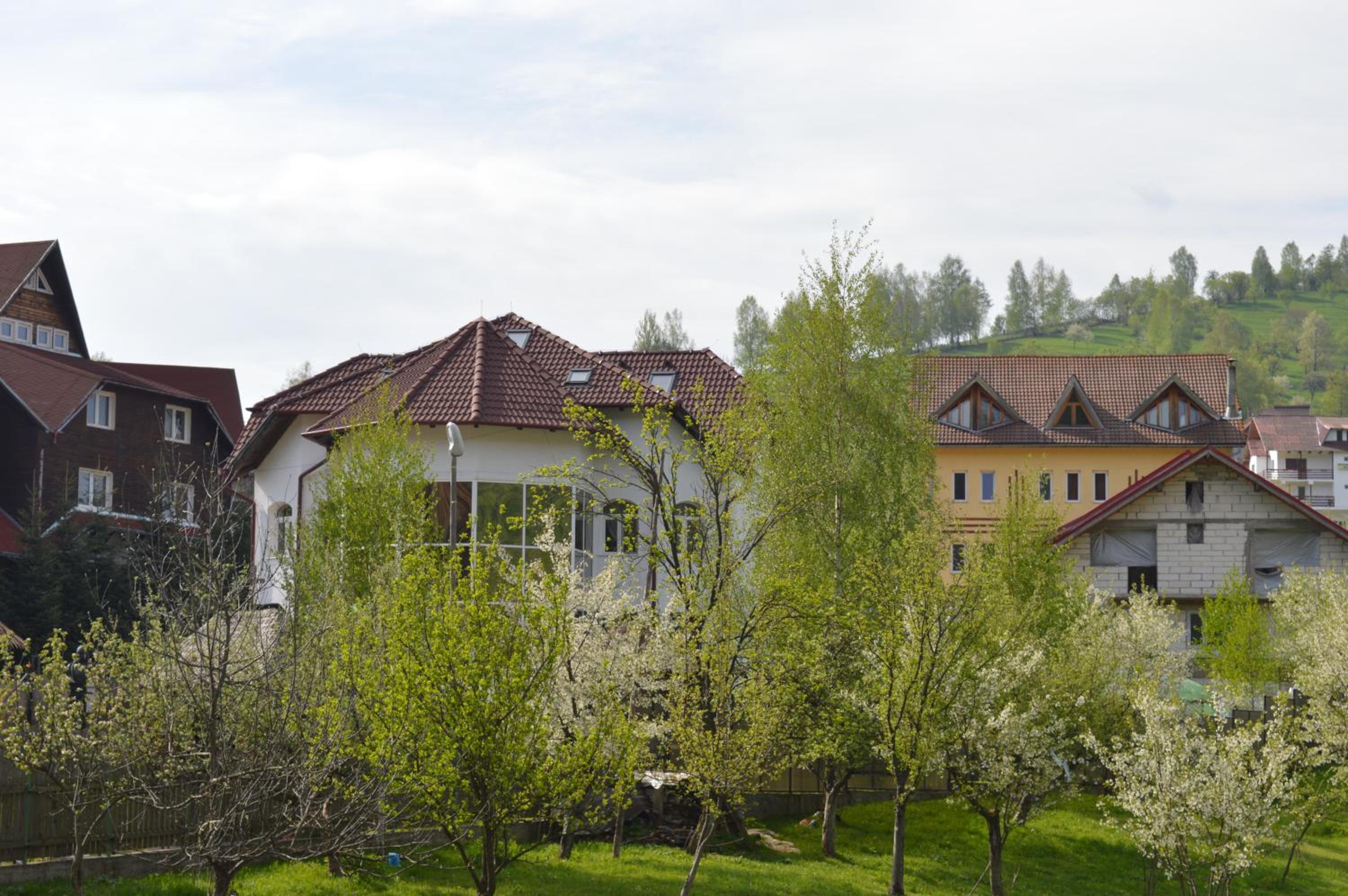 Photo 30