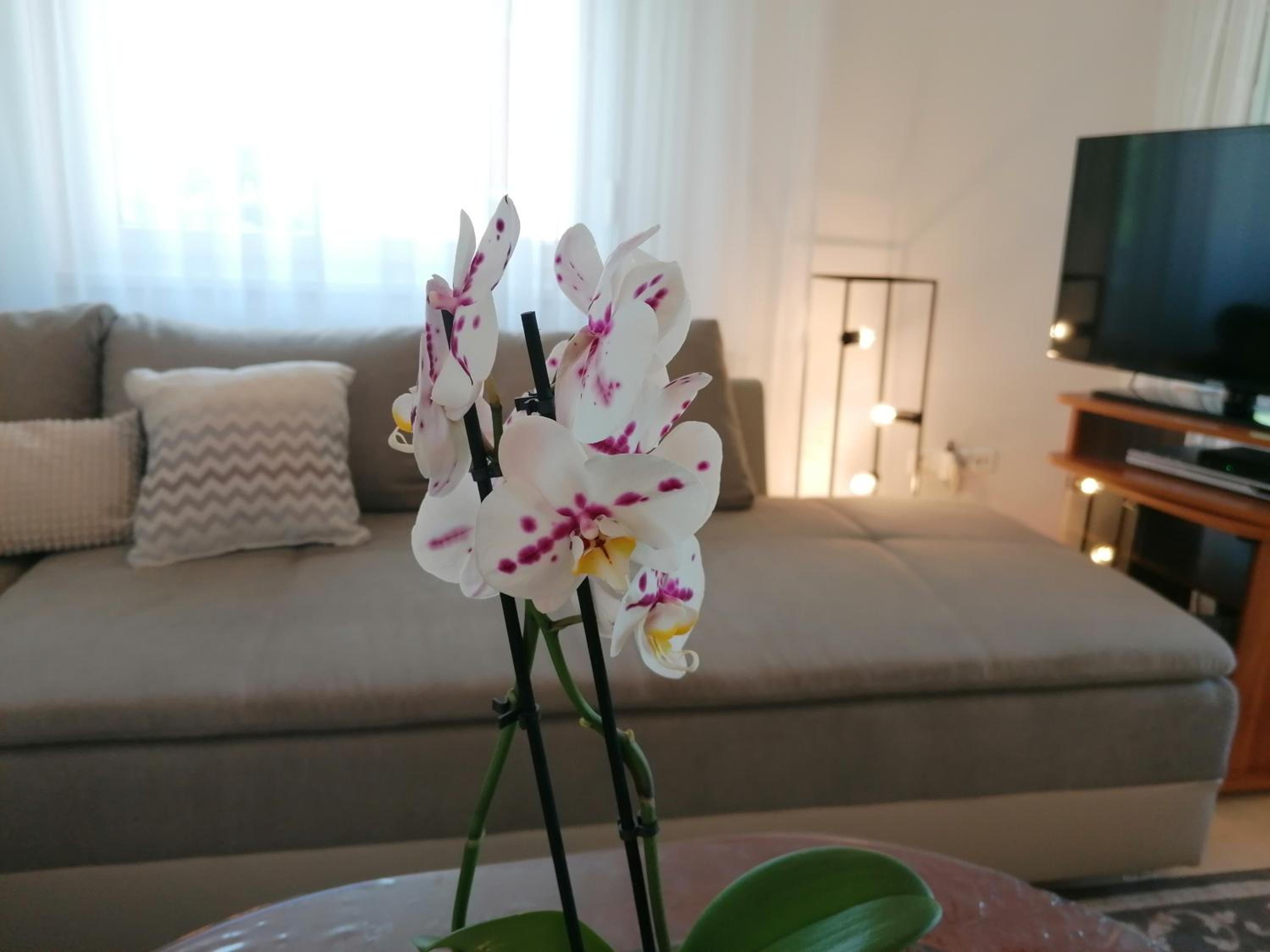 Balaton Golden Coast Beach Apartment