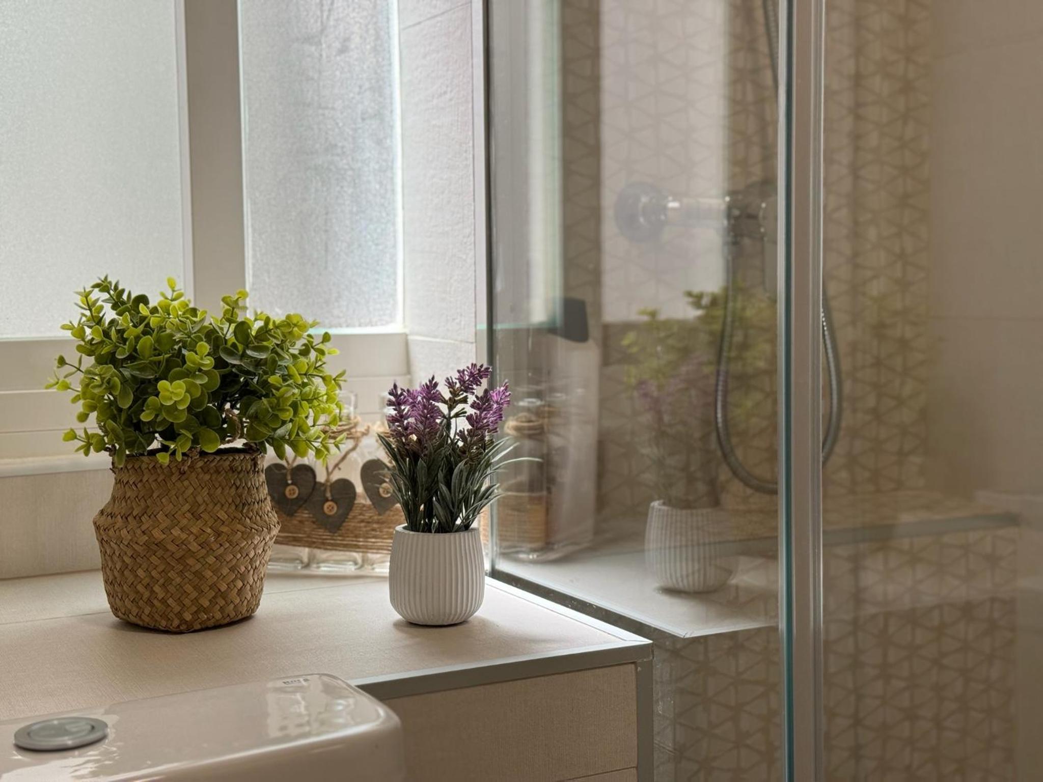 Loyola Premium Córdoba Centro