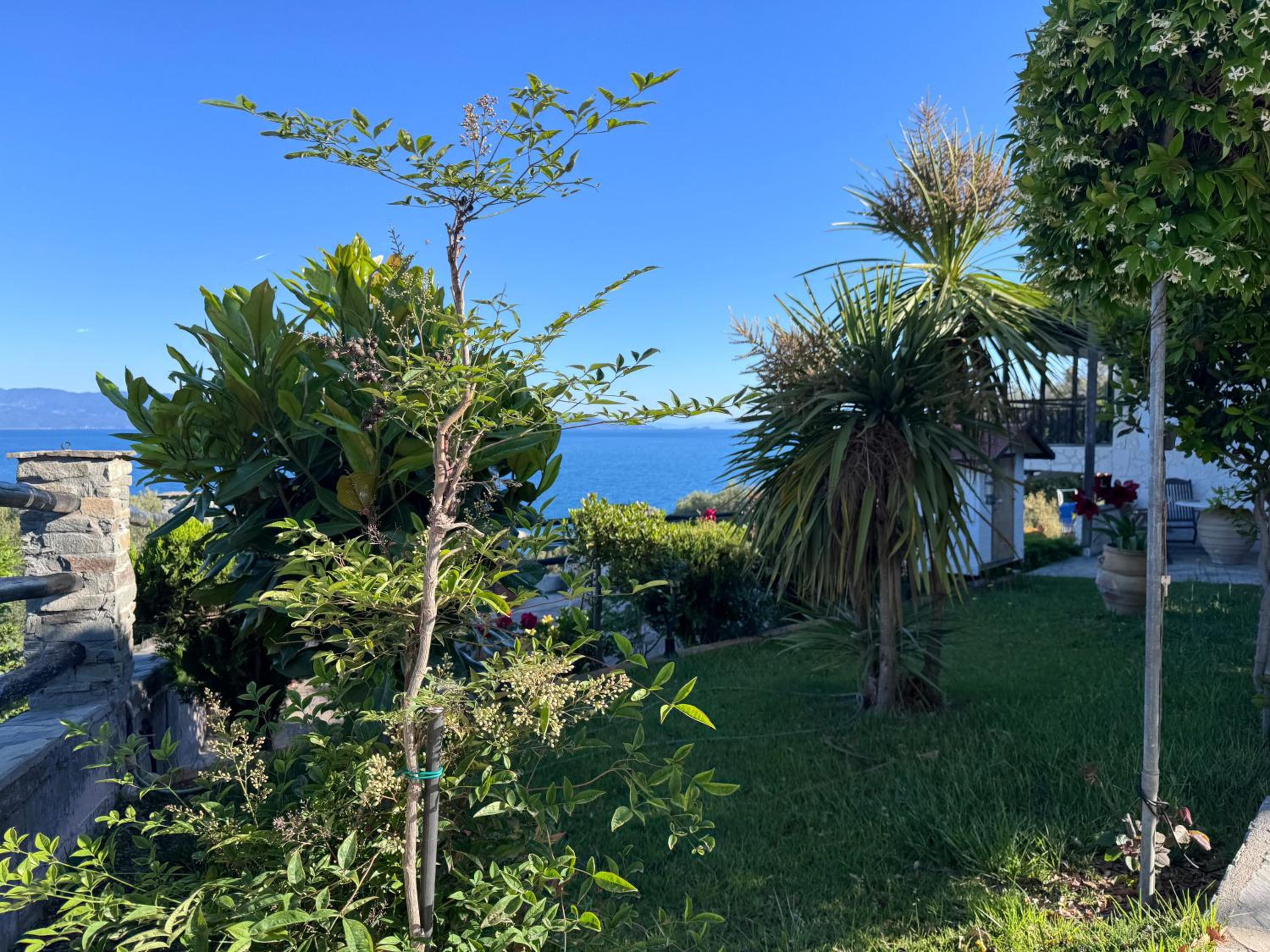 Kyriakos Villa Suite