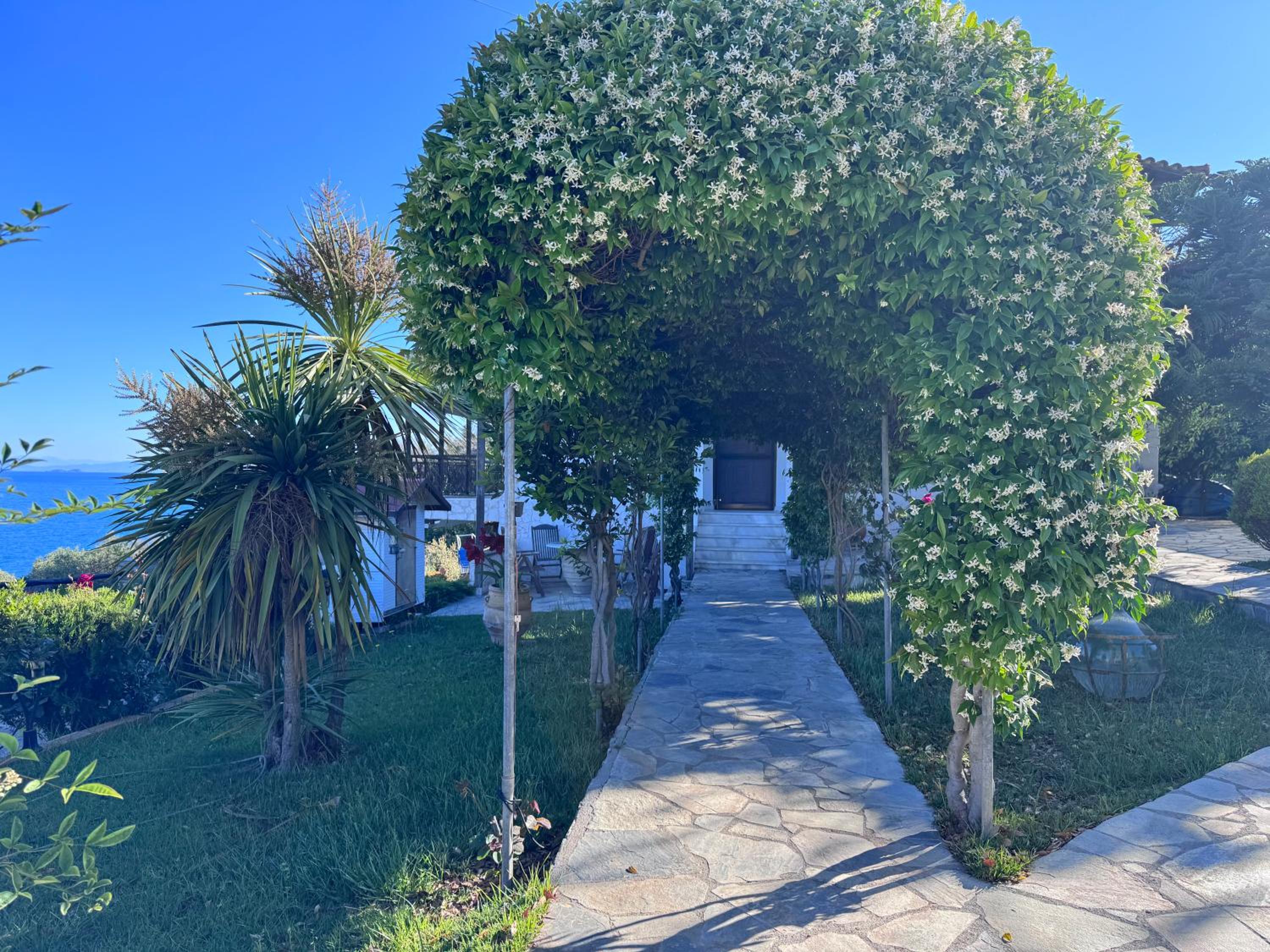 Kyriakos Villa Suite