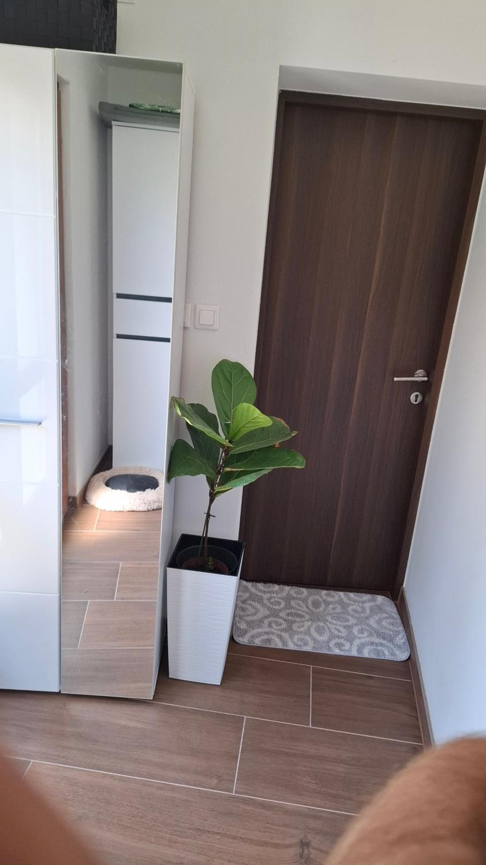 Apartment Allapera