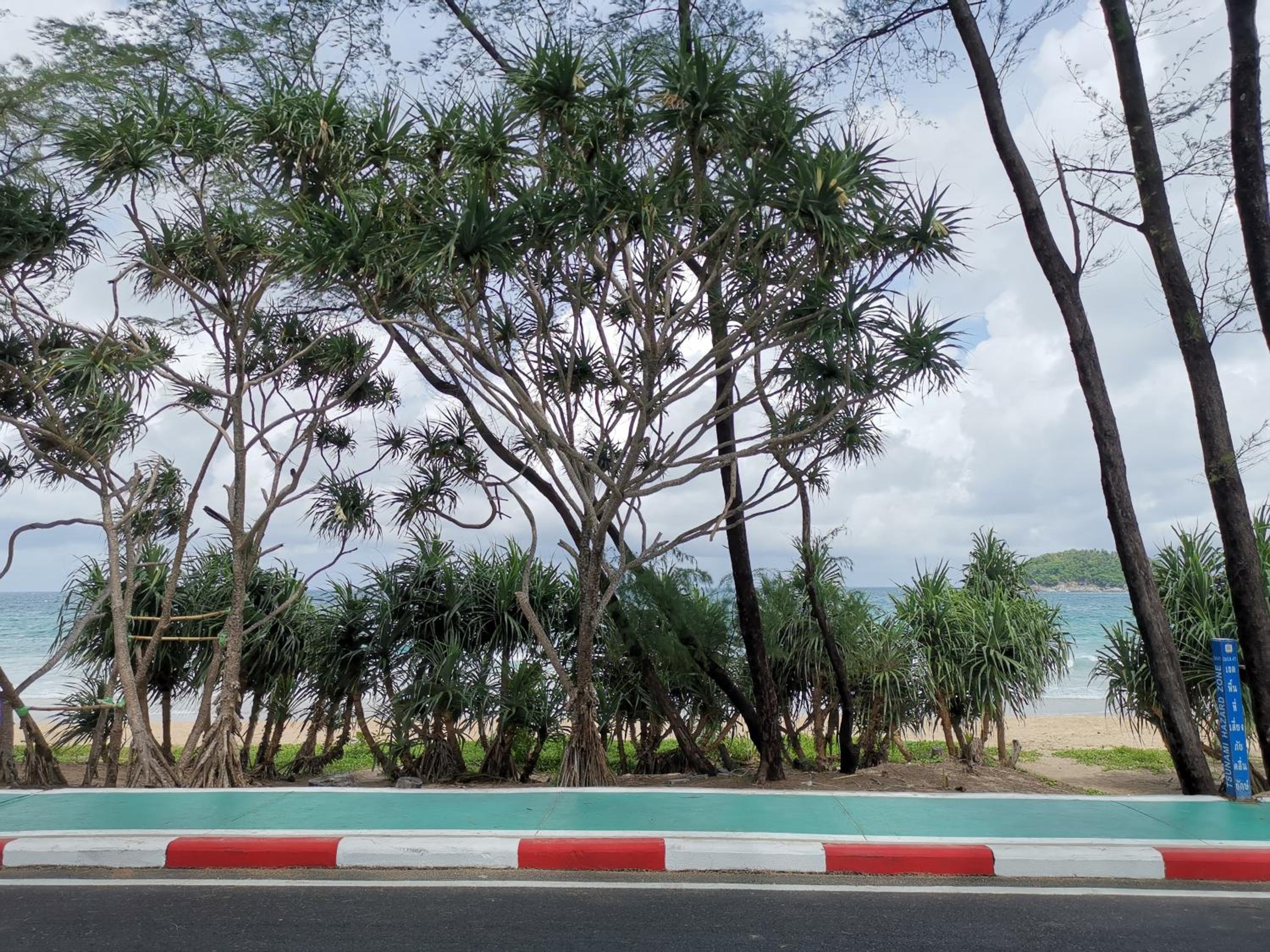 8 Floor - Mountain view Studio room at TBHR near Kata beach