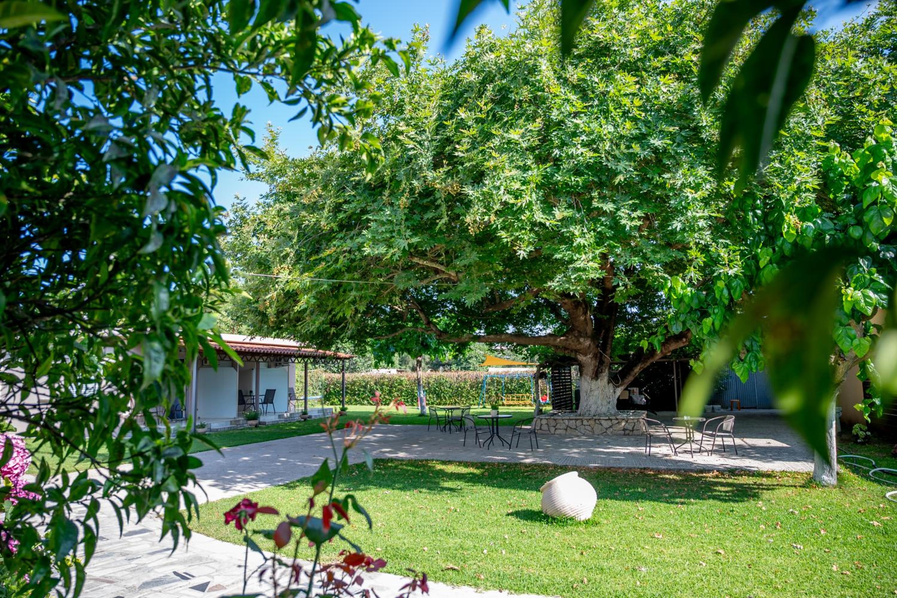 Paradisos, photo 72