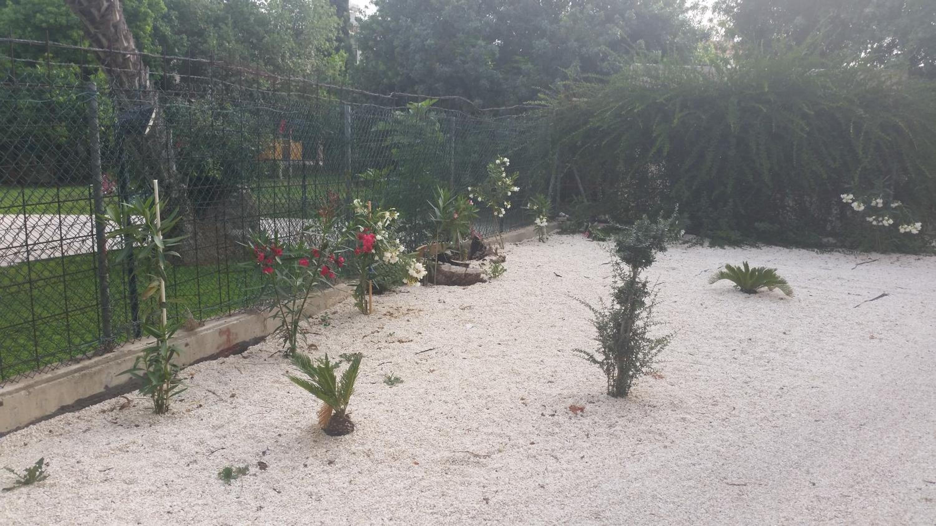 Faneromeni Court