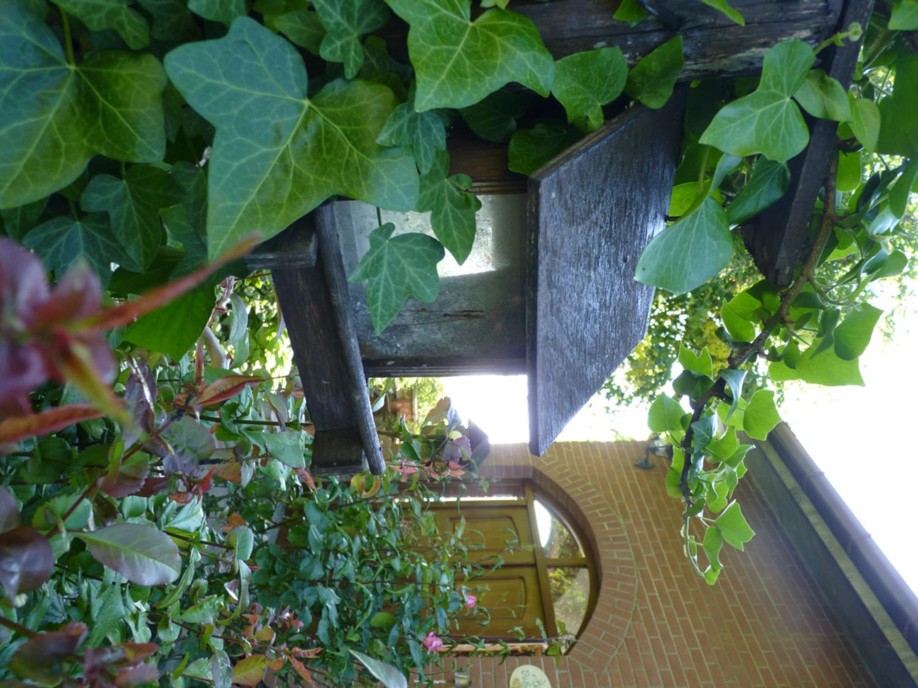 Photo 49
